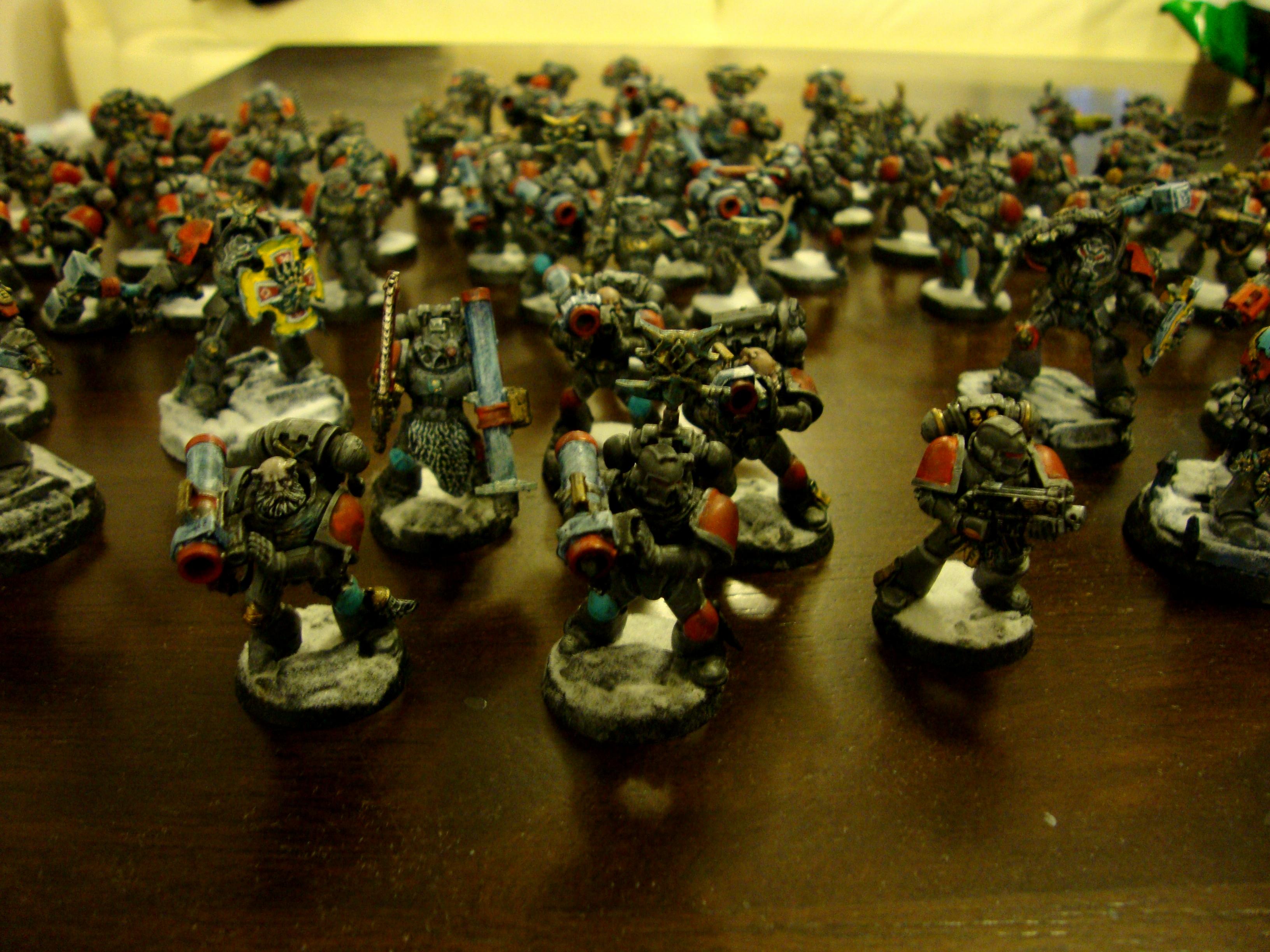 Grey Hunters, Razorback, Rhino, Scouts, Space Wolves, Terminator Armor, Vindicator, Wolf Guard, Wolf Scouts