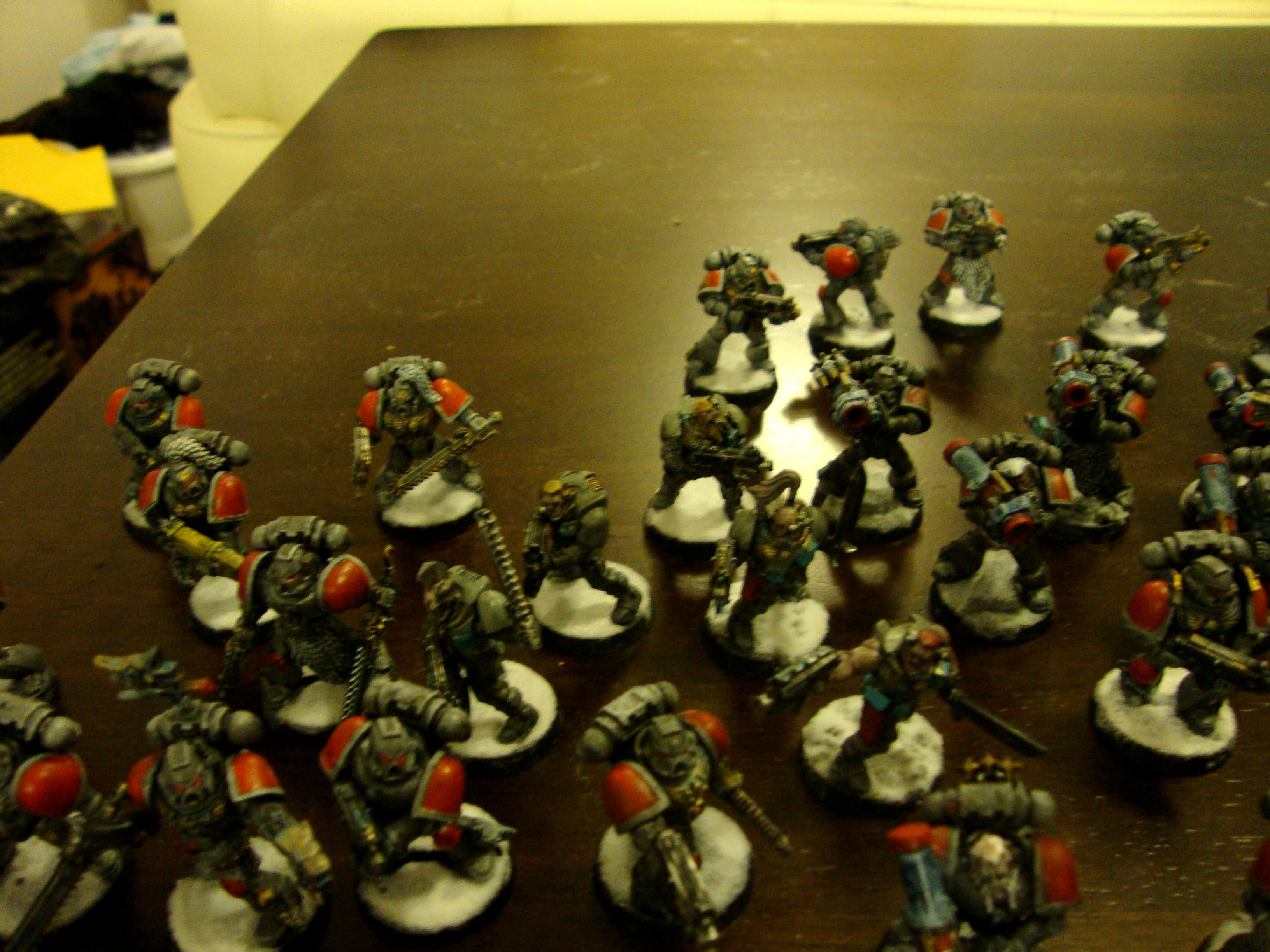 Grey Hunters, Razorback, Rhino, Scouts, Space Wolves, Terminator Armor, Vindicator, Wolf Guard, Wolf Scouts