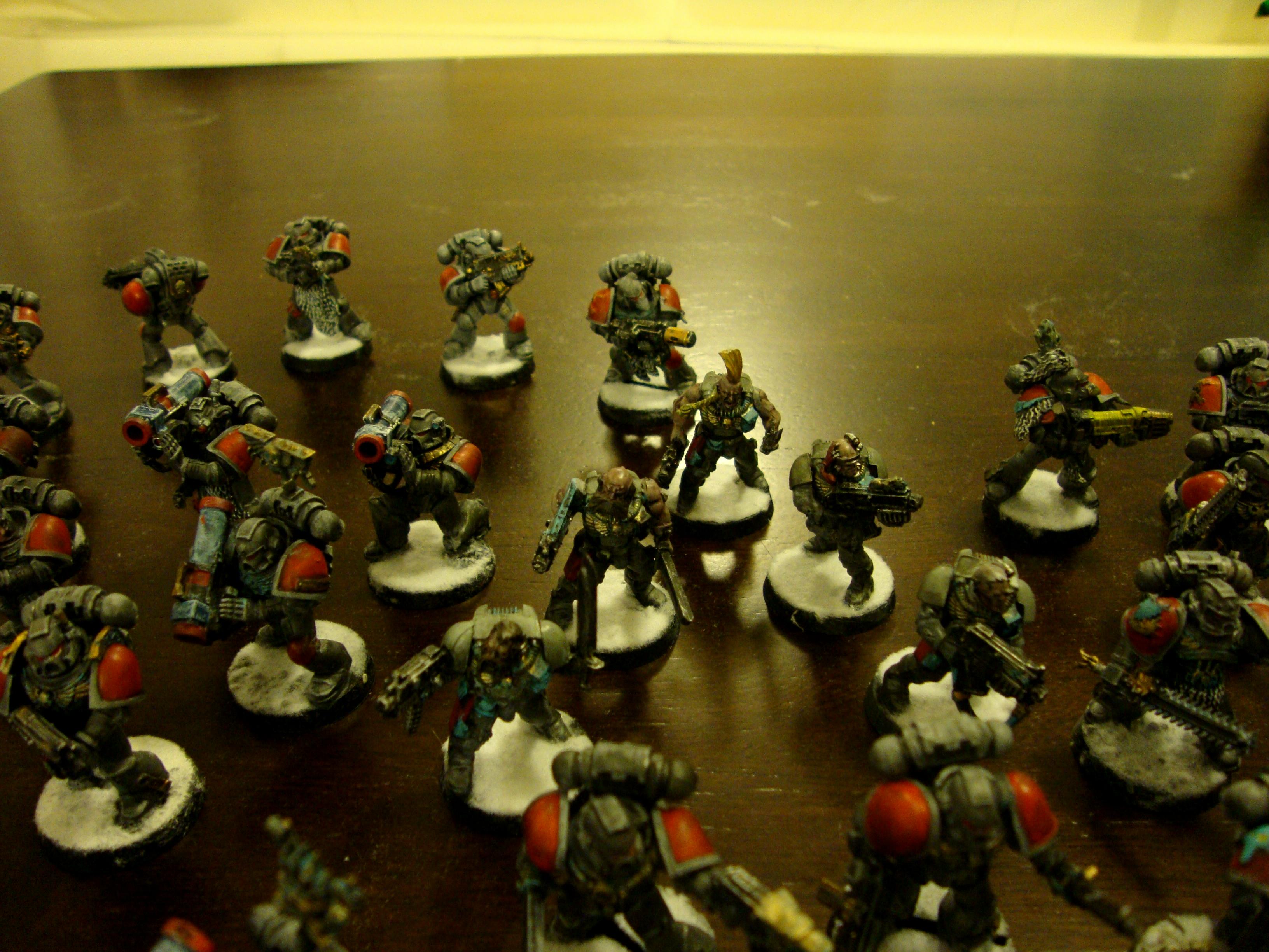 Grey Hunters, Razorback, Rhino, Scouts, Space Wolves, Terminator Armor, Vindicator, Wolf Guard, Wolf Scouts