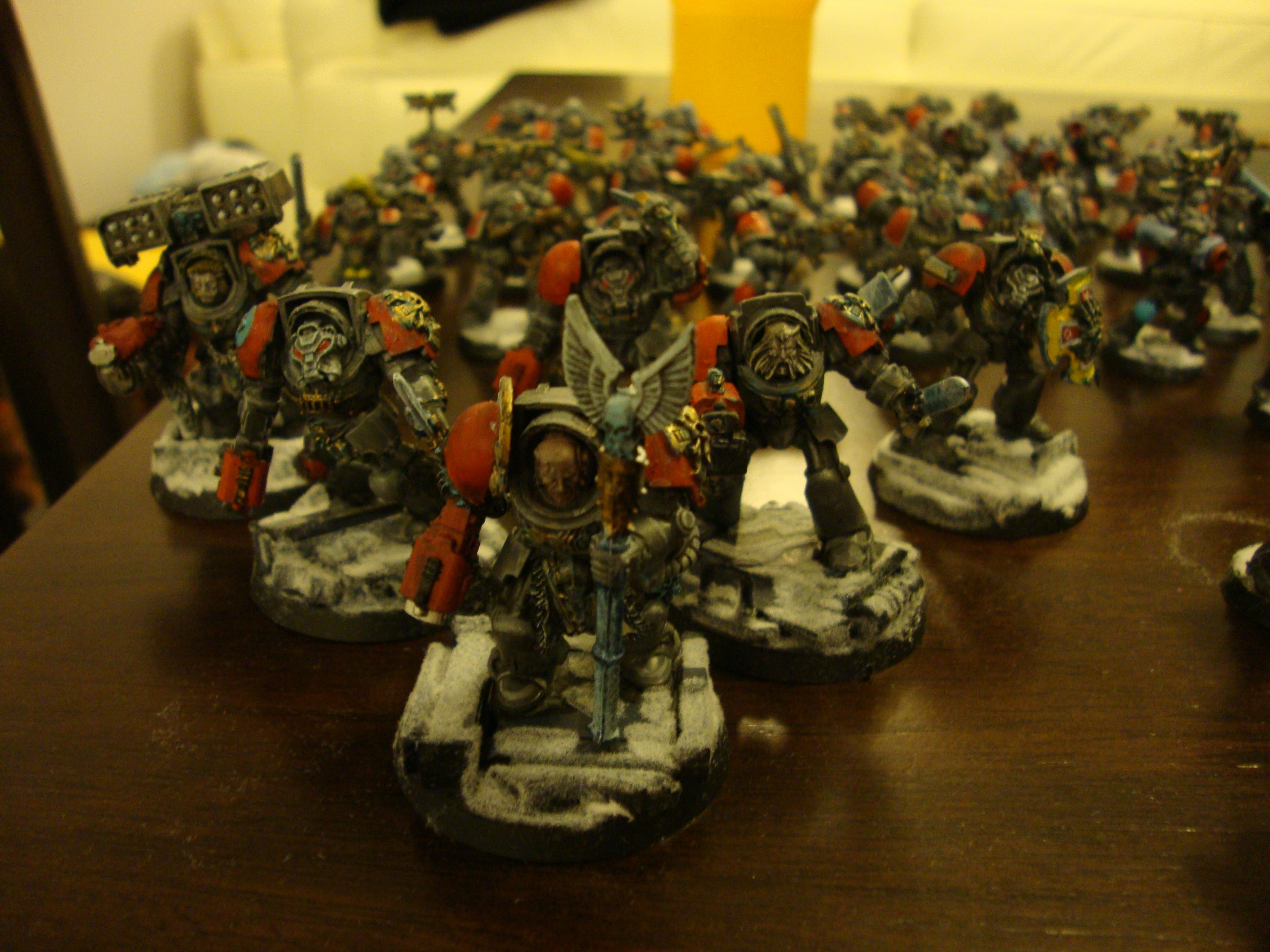 Grey Hunters, Razorback, Rhino, Scouts, Space Wolves, Terminator Armor, Vindicator, Wolf Guard, Wolf Scouts
