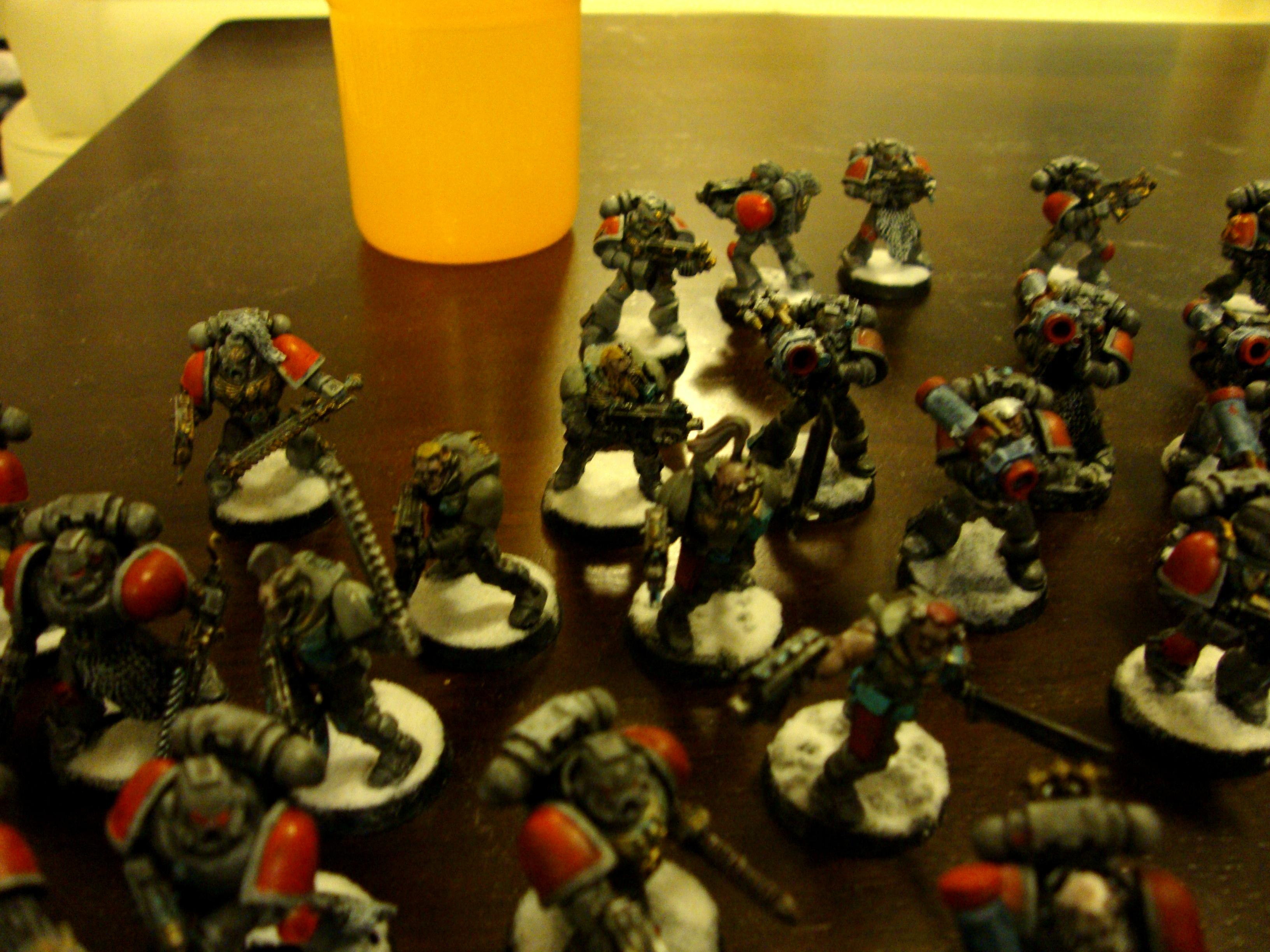 Space WOlf Wolf Scouts