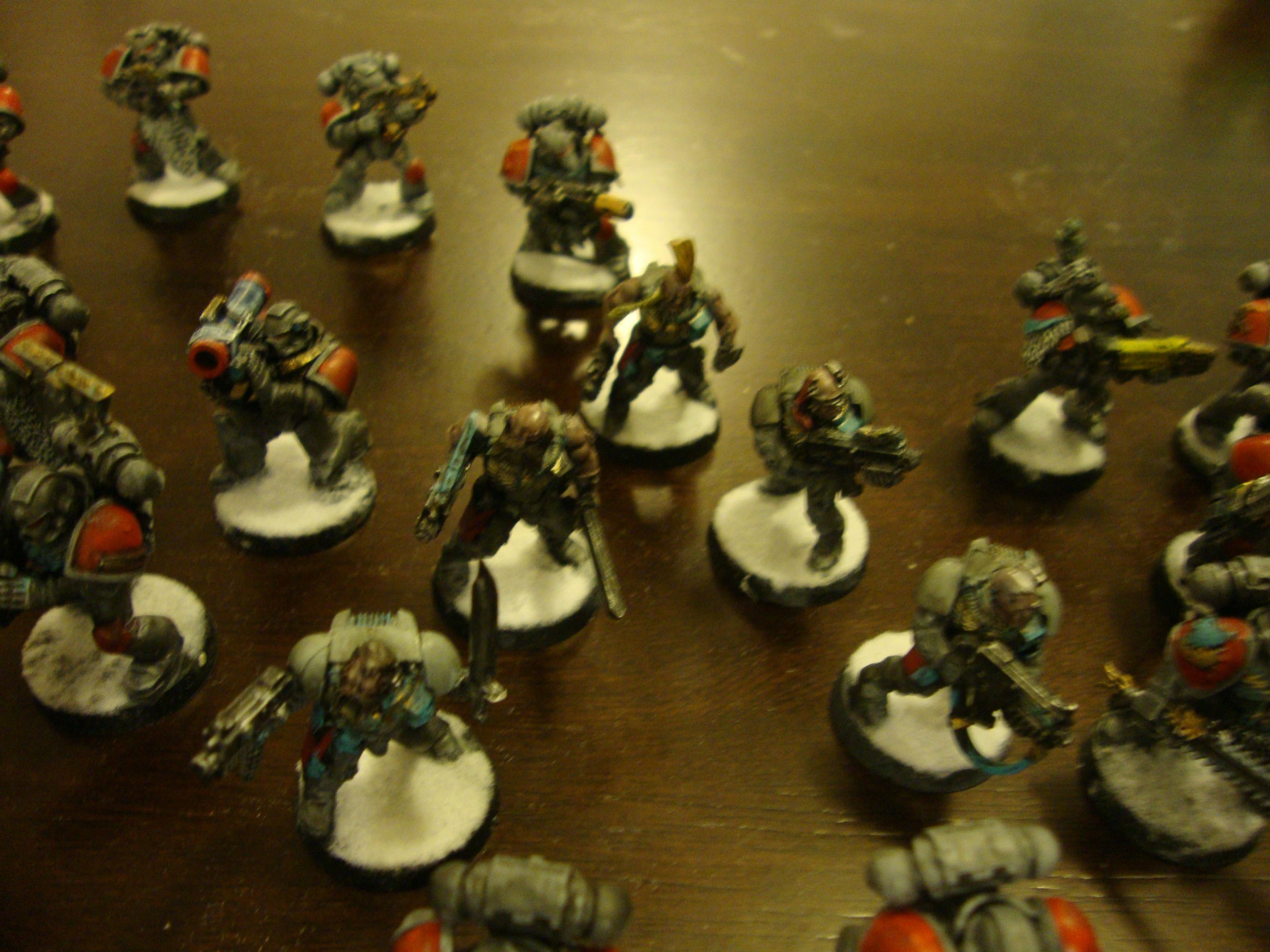 Space Wolf Wolf Scouts