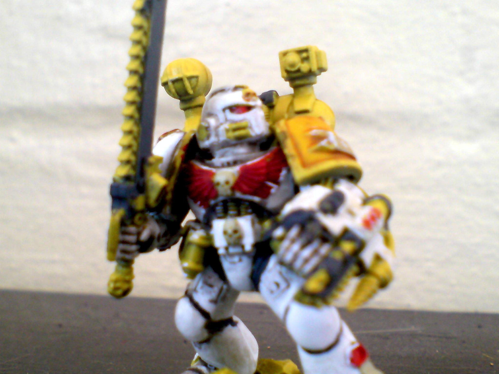 Company Apoth WIP