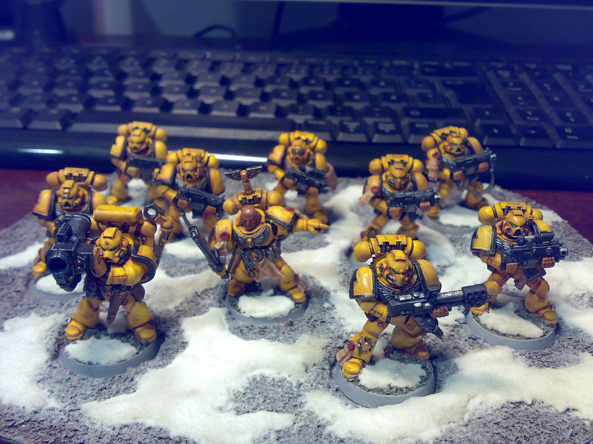 Imperial Fists, Space Marines, Tactical Squad