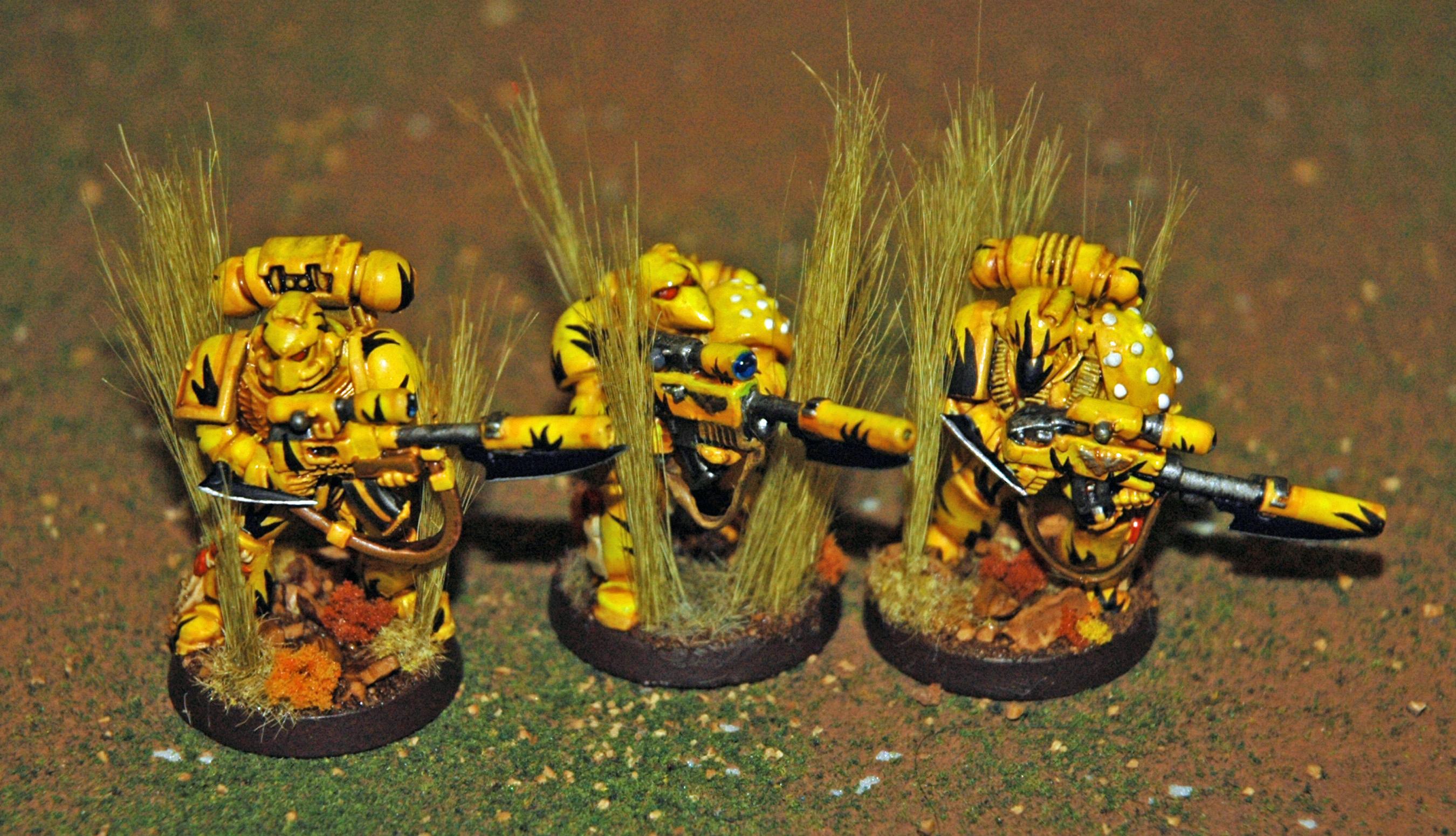 Mantis Warriors, Snipers, Space Marines, Sternguard, Tranquility, Warhammer 40,000