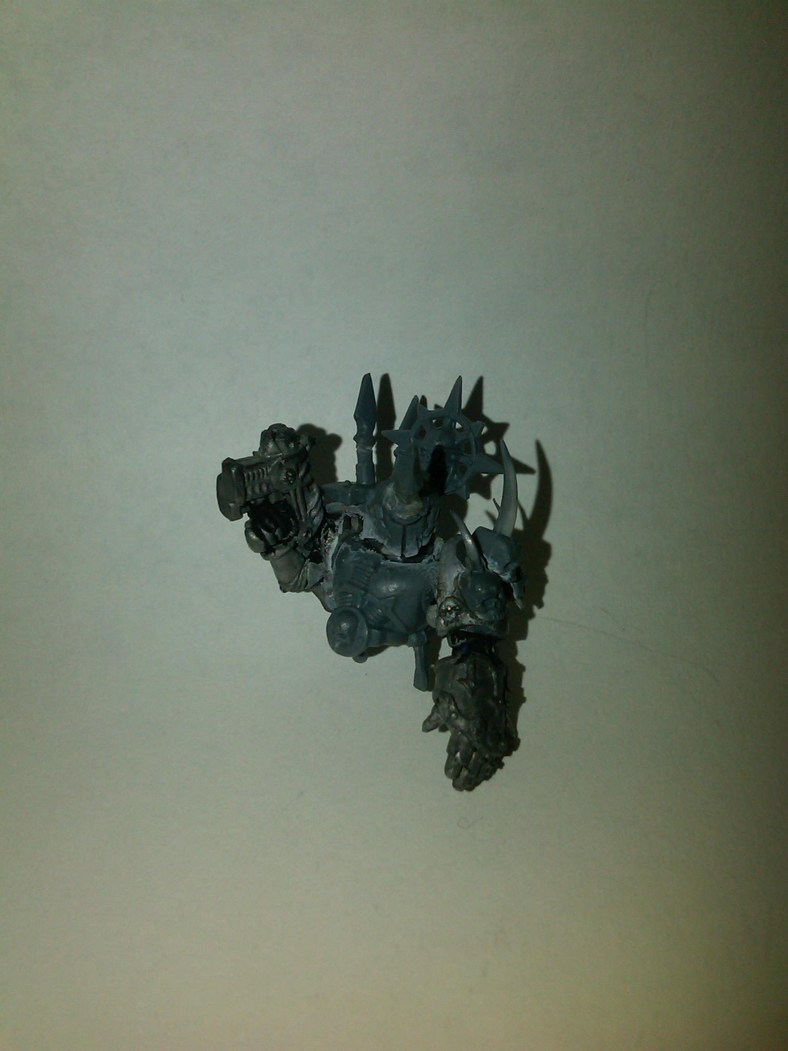 Chosen Champion WIP
