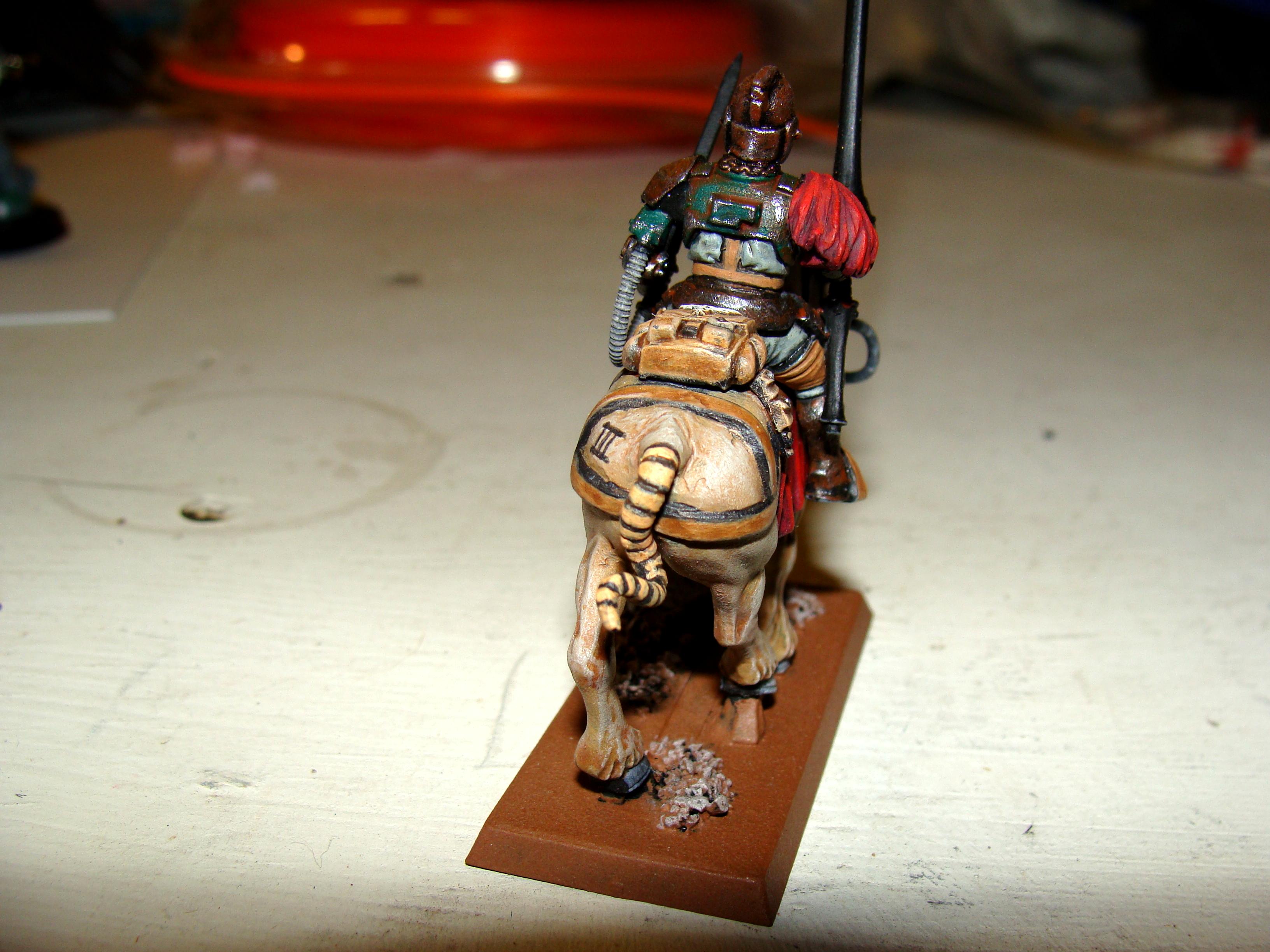 Imperial Guard, Rough Riders, Rr, Work In Progress