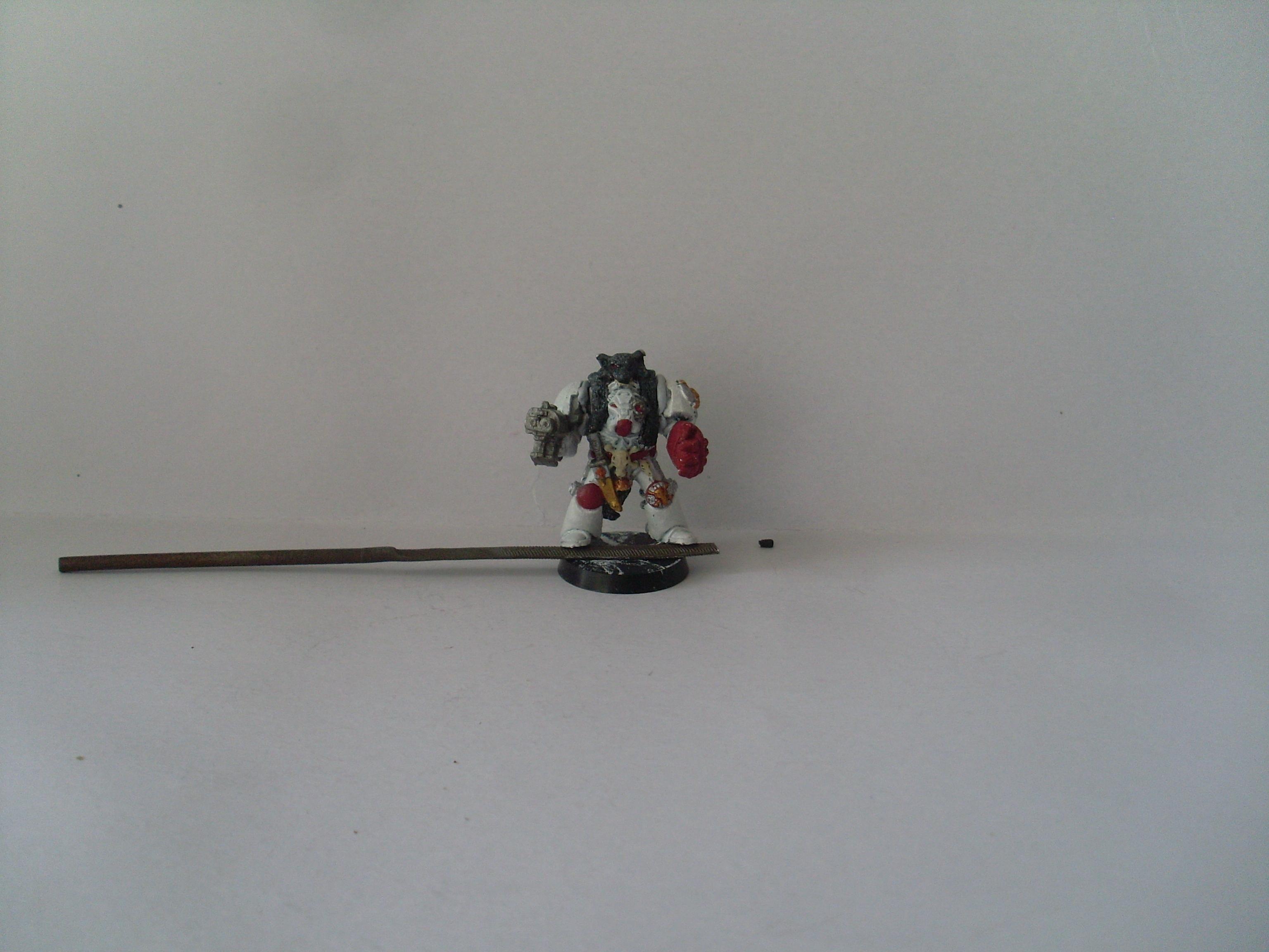 Assault Marines, Blood Angels, Captain, Scholae Palatinae, Space Marines, Terminator Armor, Wolf Guard