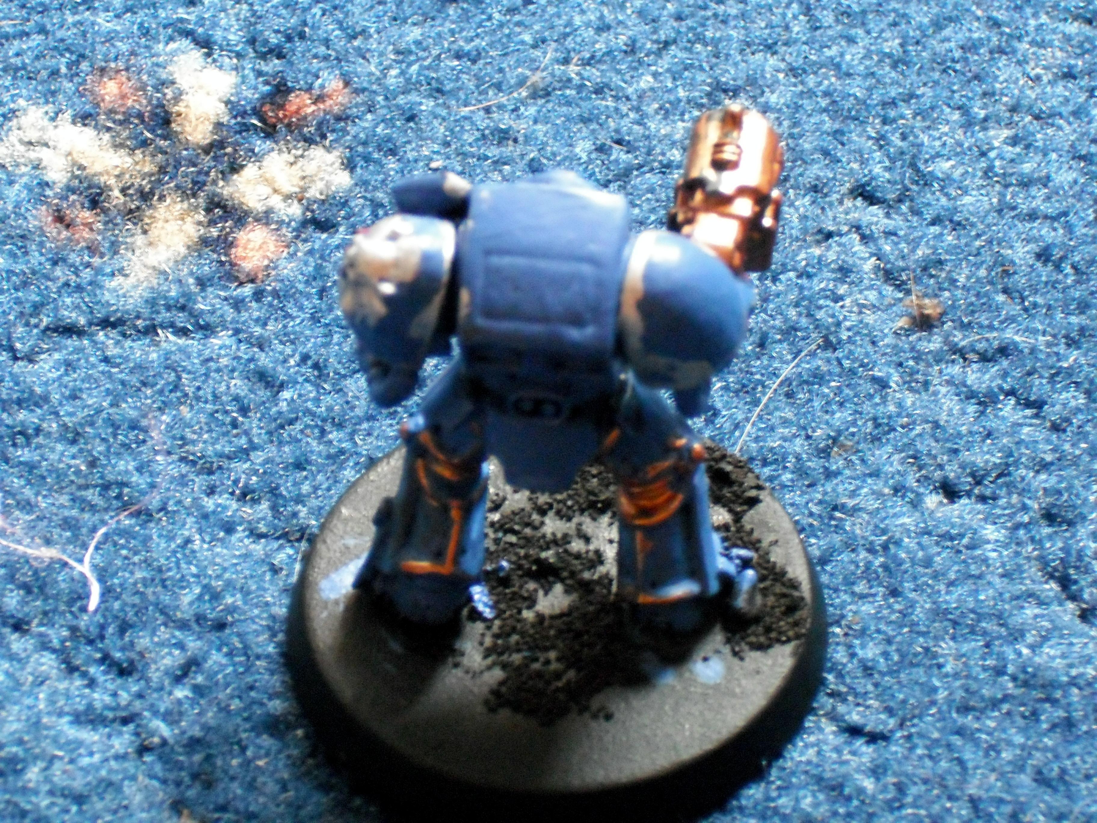 Terminator rear