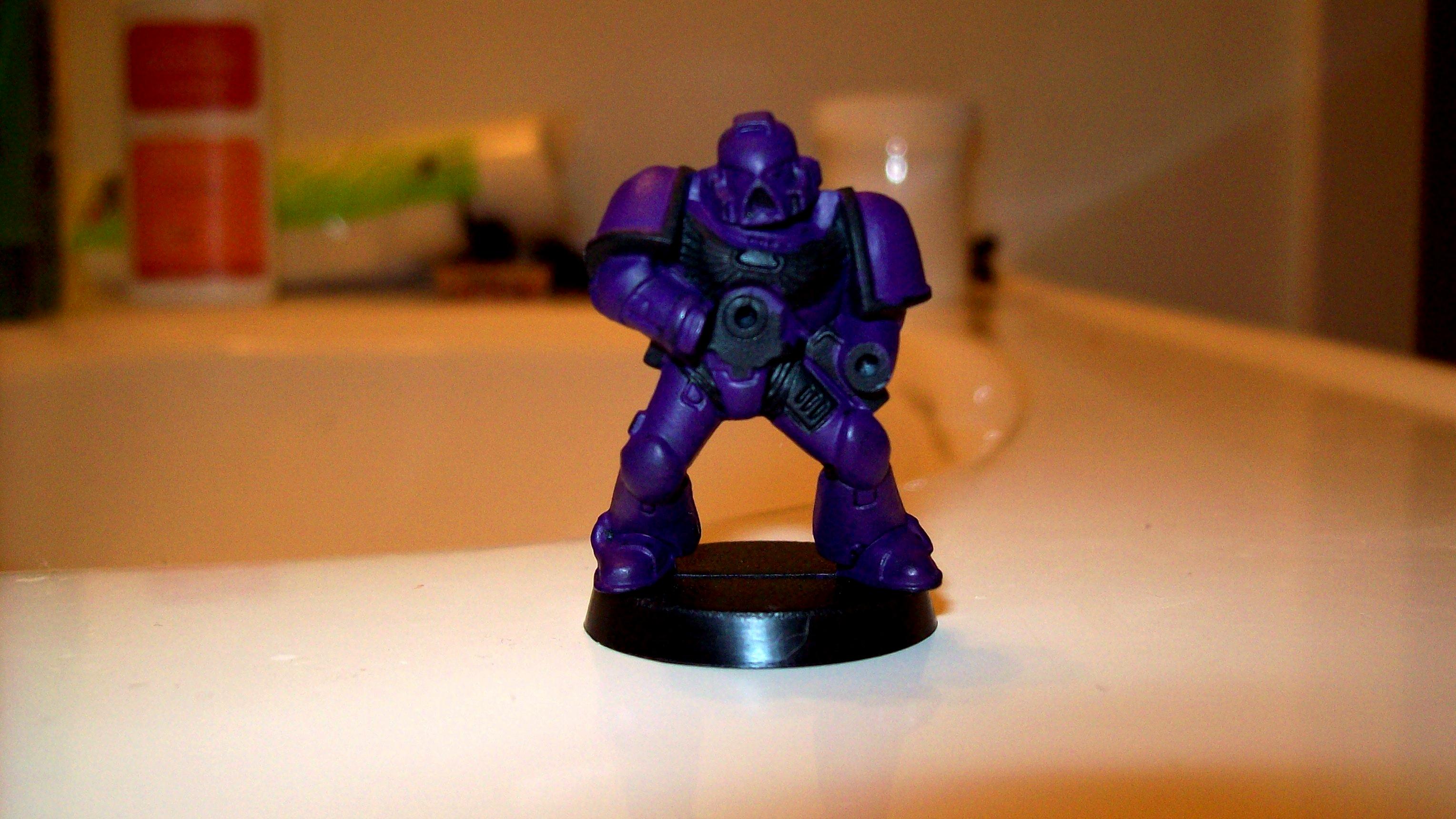 First Coat