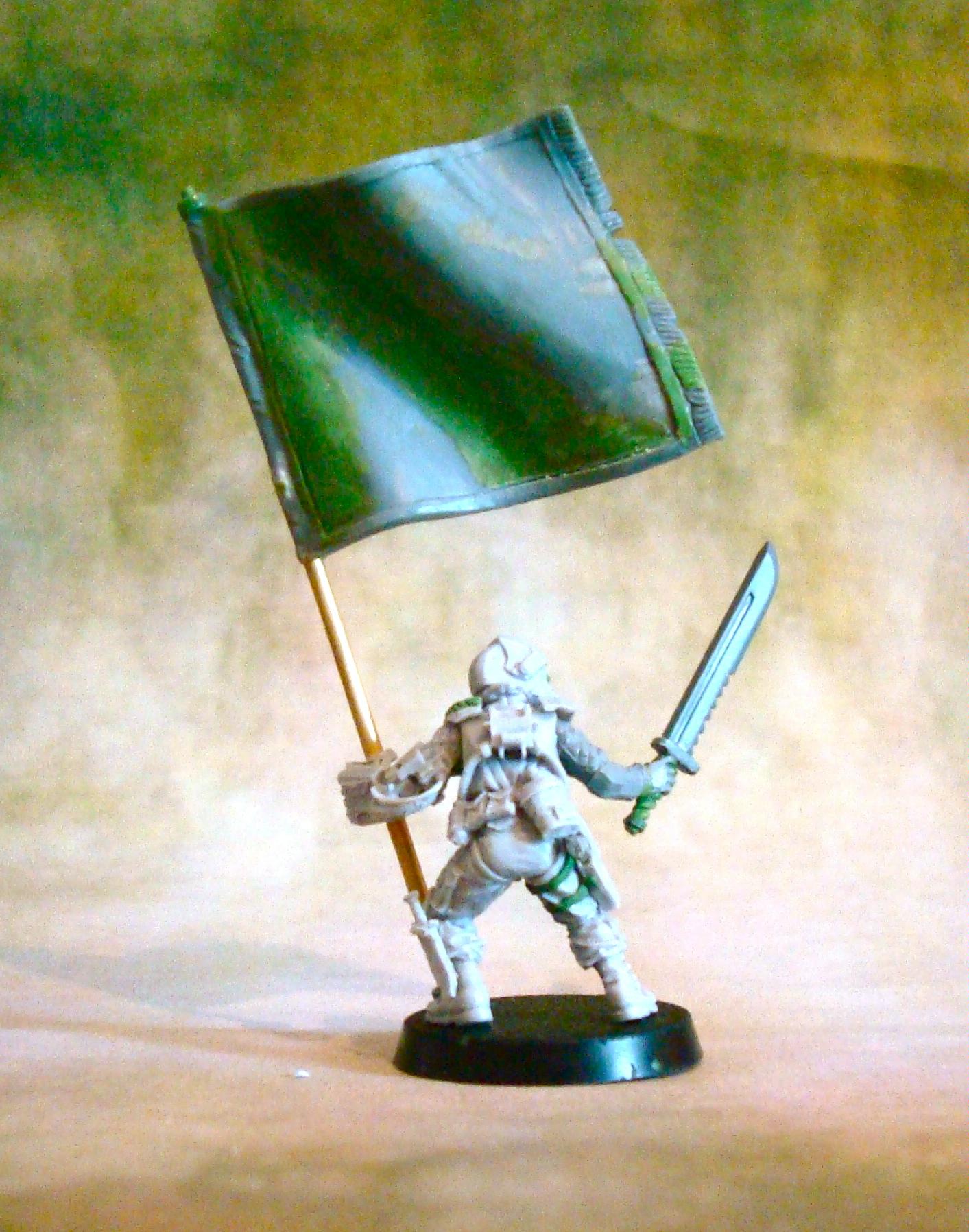 Imperial Guard, Work In Progress