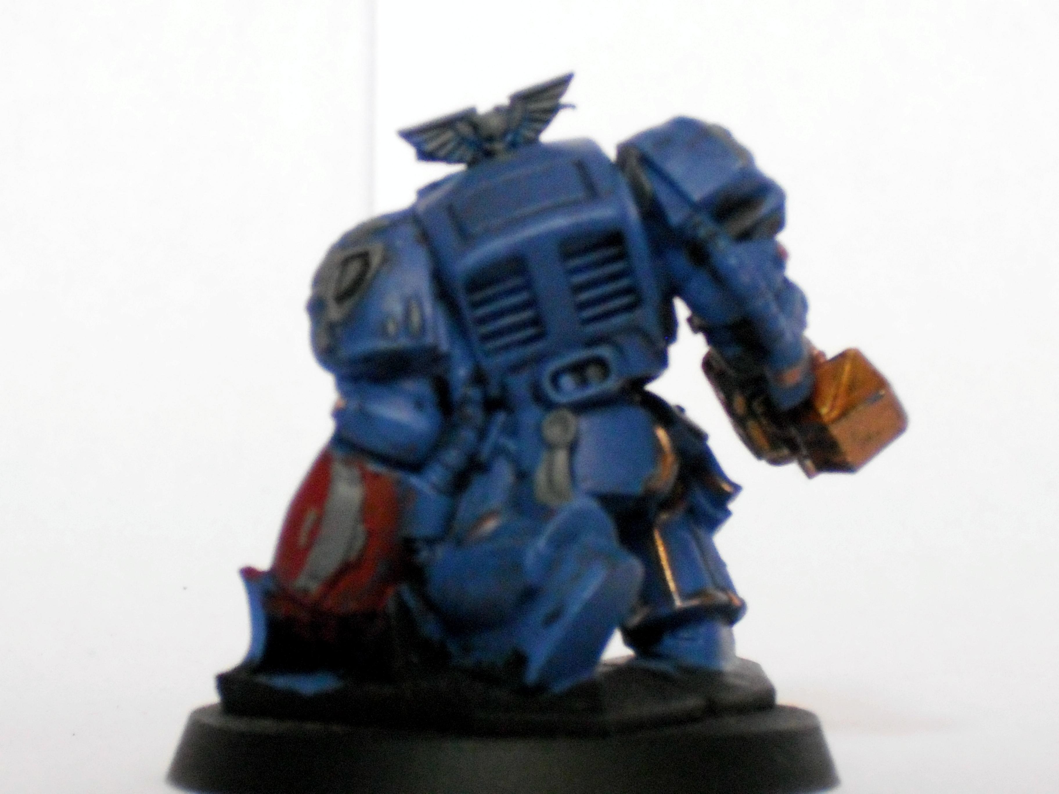 Brother scipio, rear
