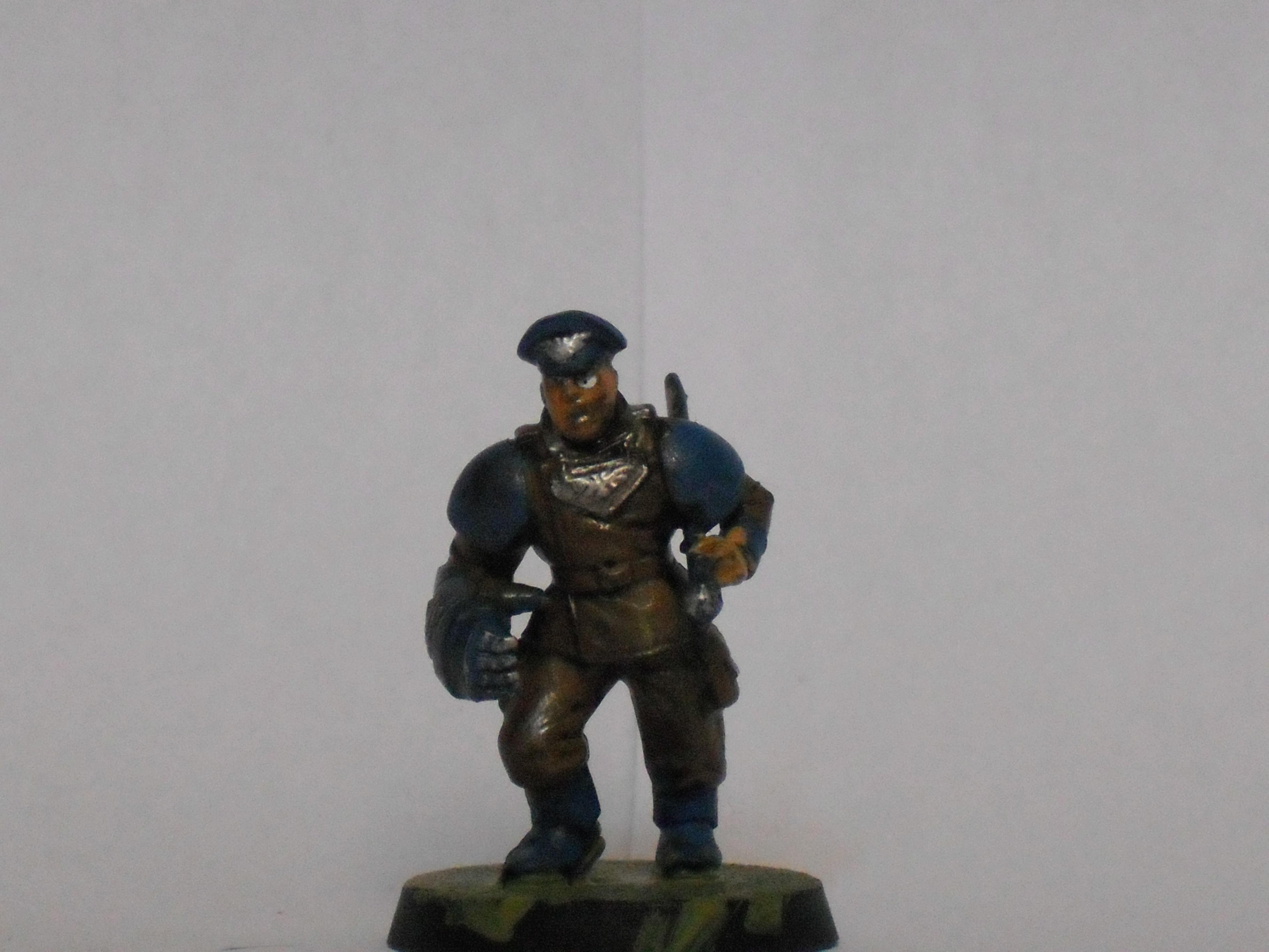 Officer of the fleet