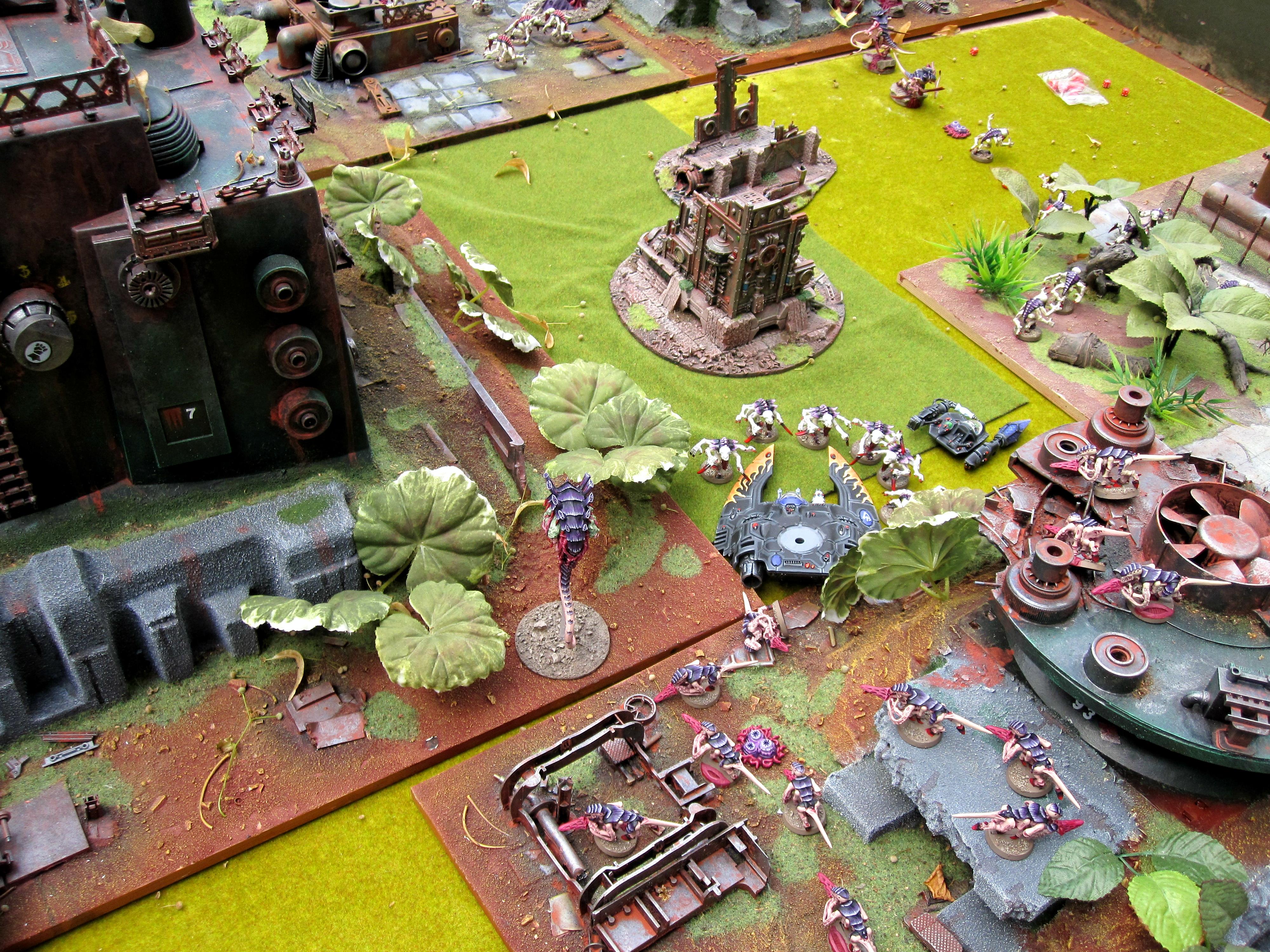 skimmer carnage