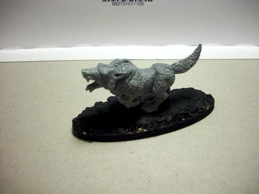 Fenrisian Wolves, Space Marines, Space Wolves, Warhammer 40,000