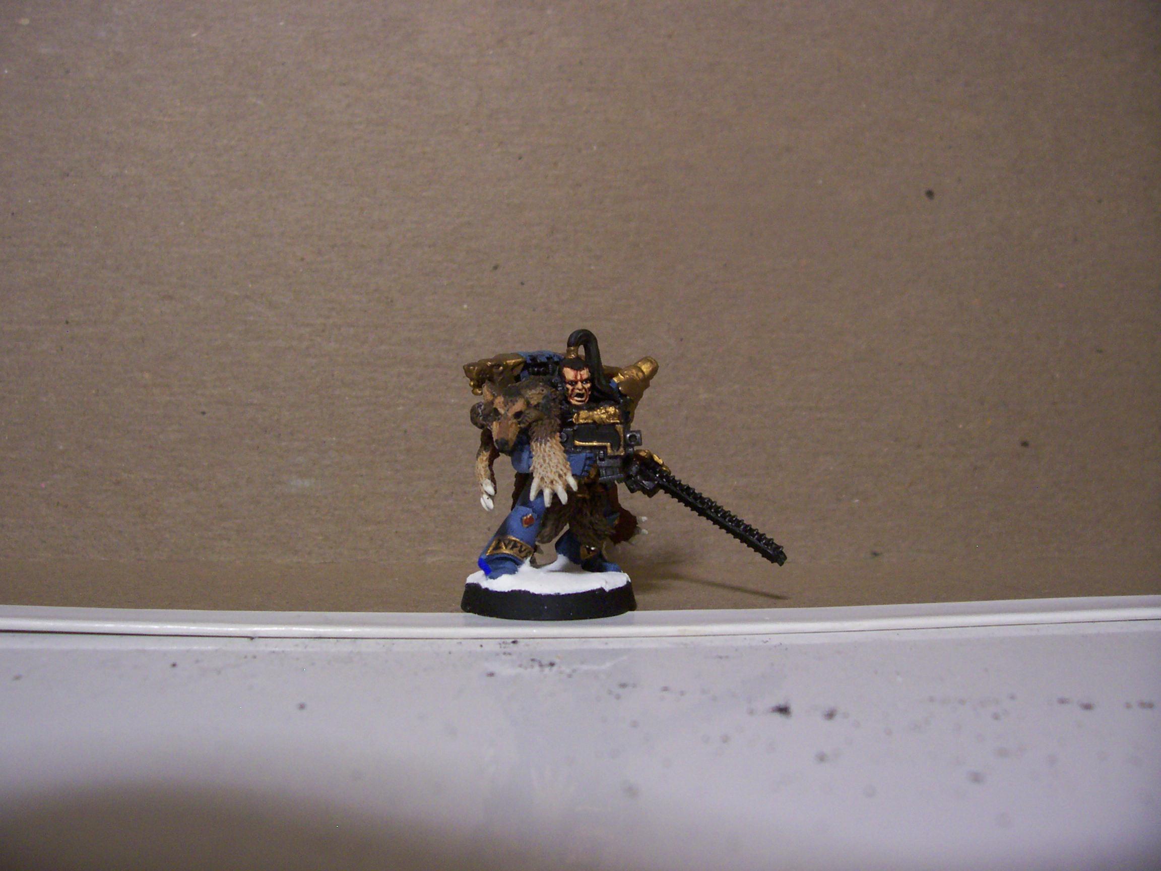 Games Workshop, Space Marines, Space Wolves