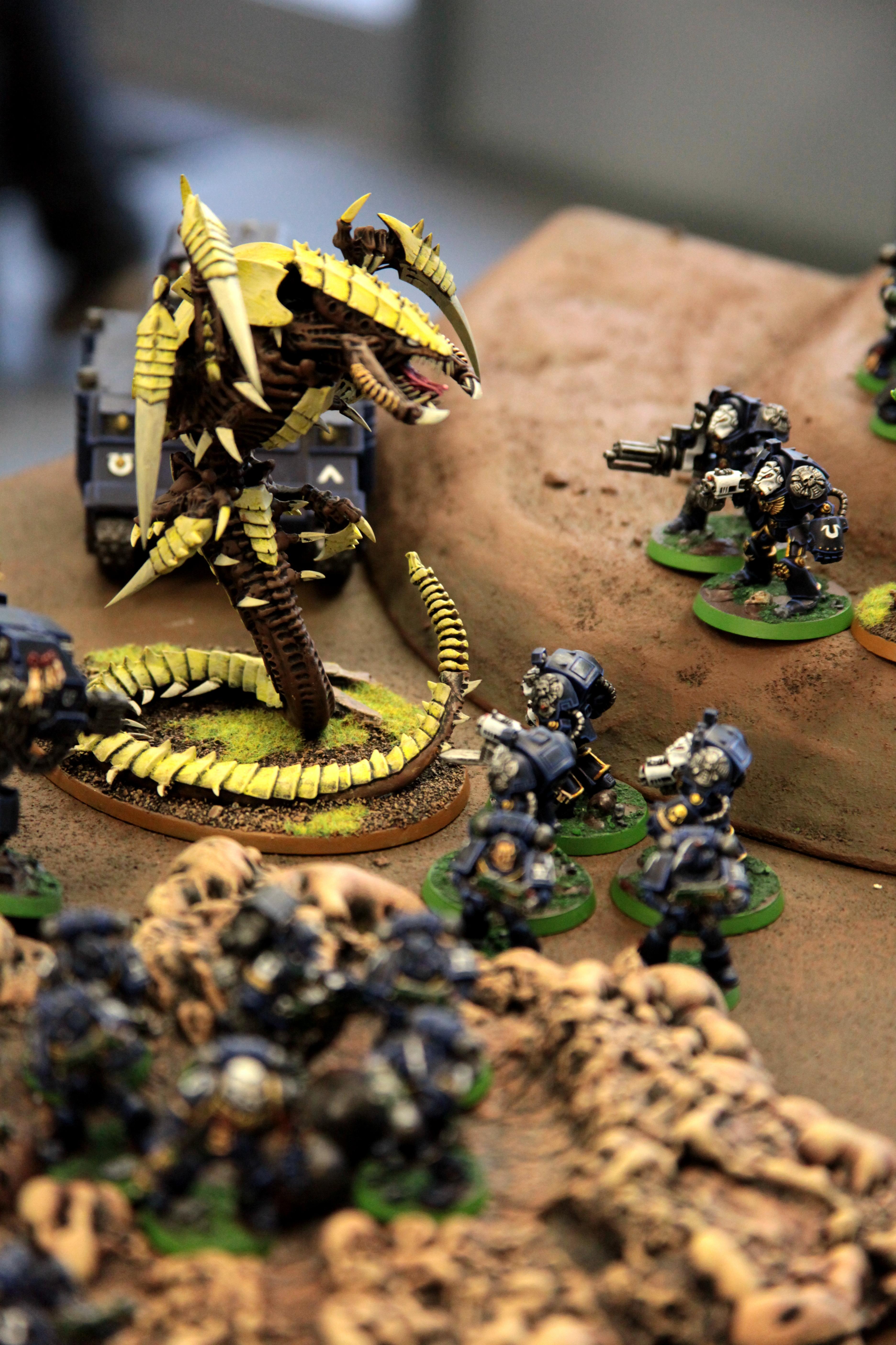 Bonjour, Je suis un Trygon!