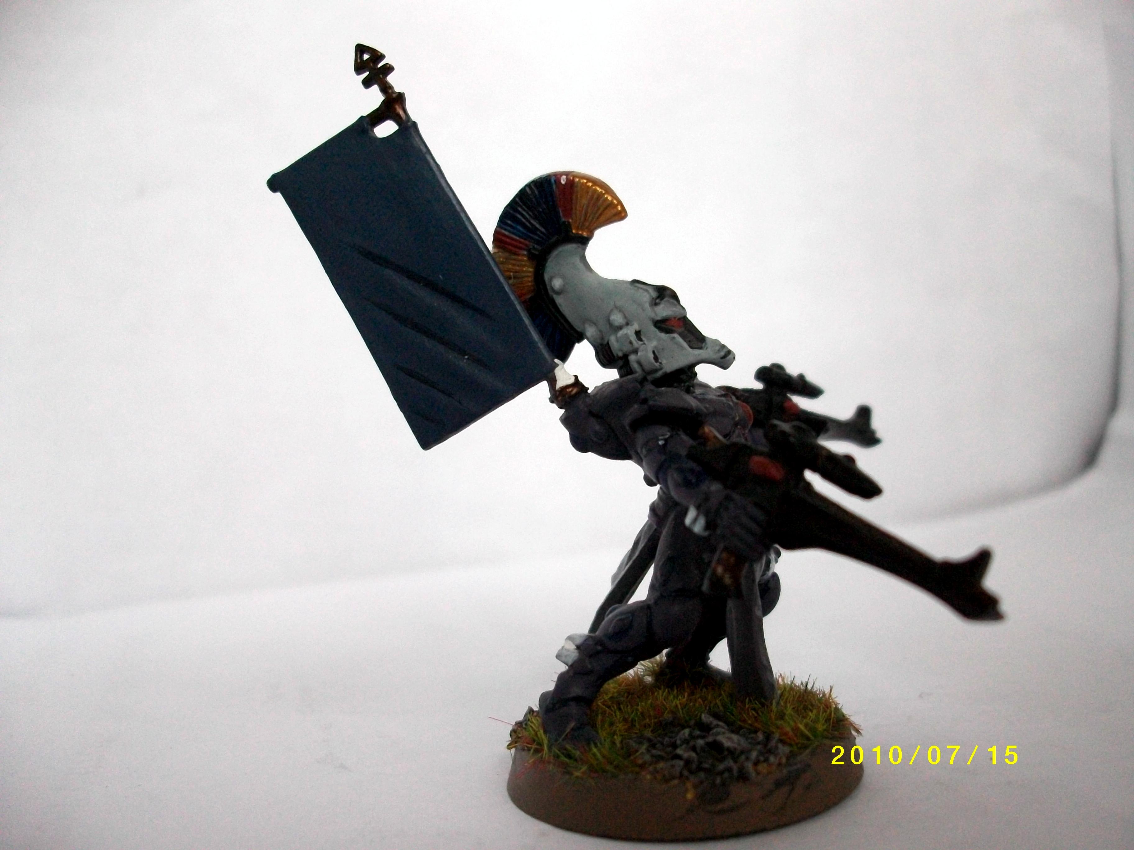 Dire Avengers, Eldar