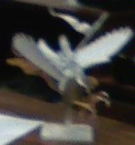 Far Shot of Griffon Cropped