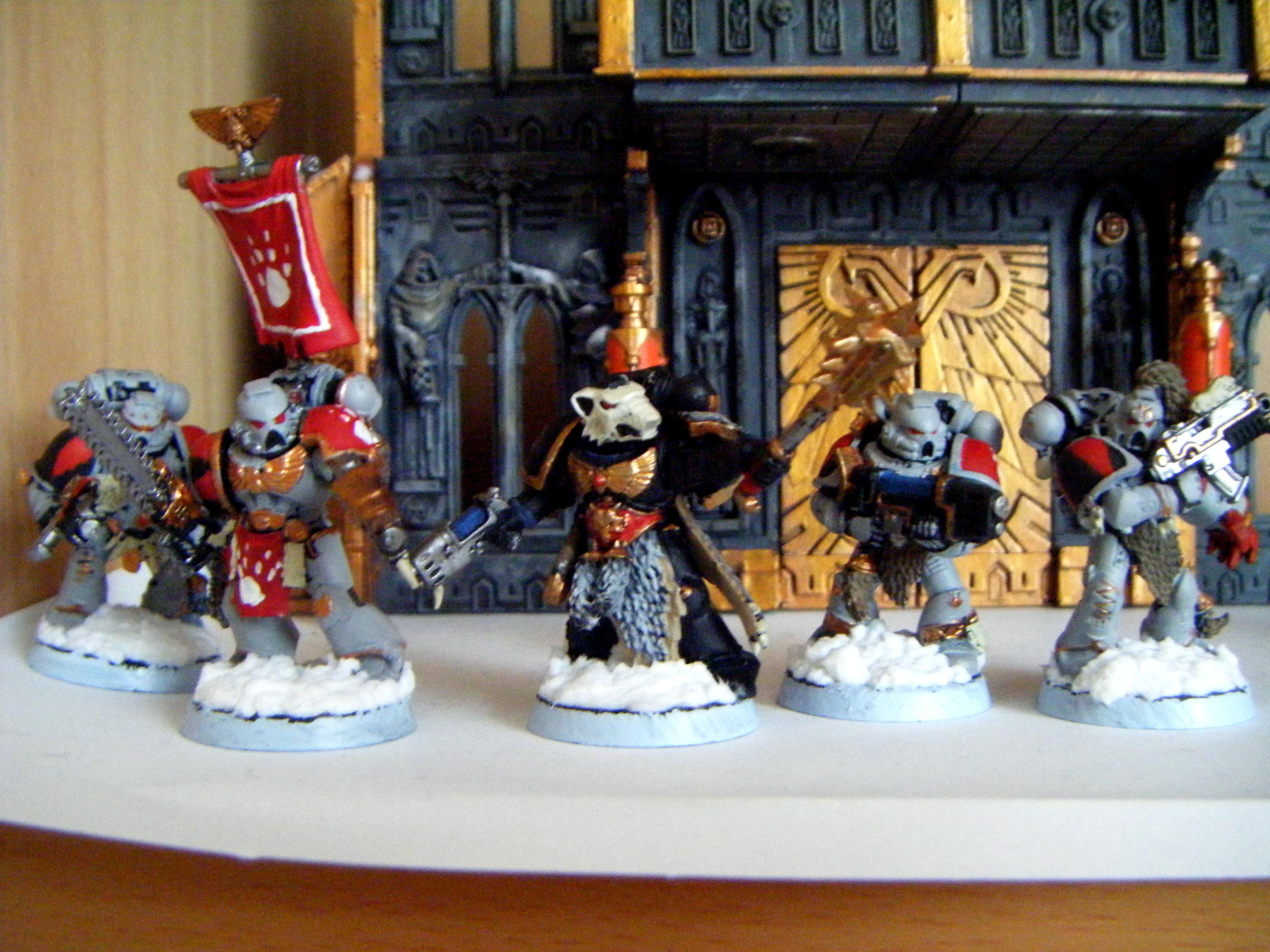 Grey Hunters, Snow Bases, Space Wolves, Wolf Priest