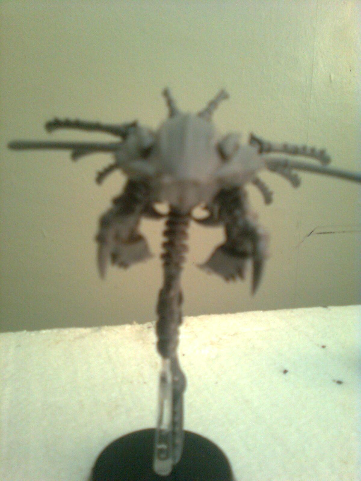 From the front