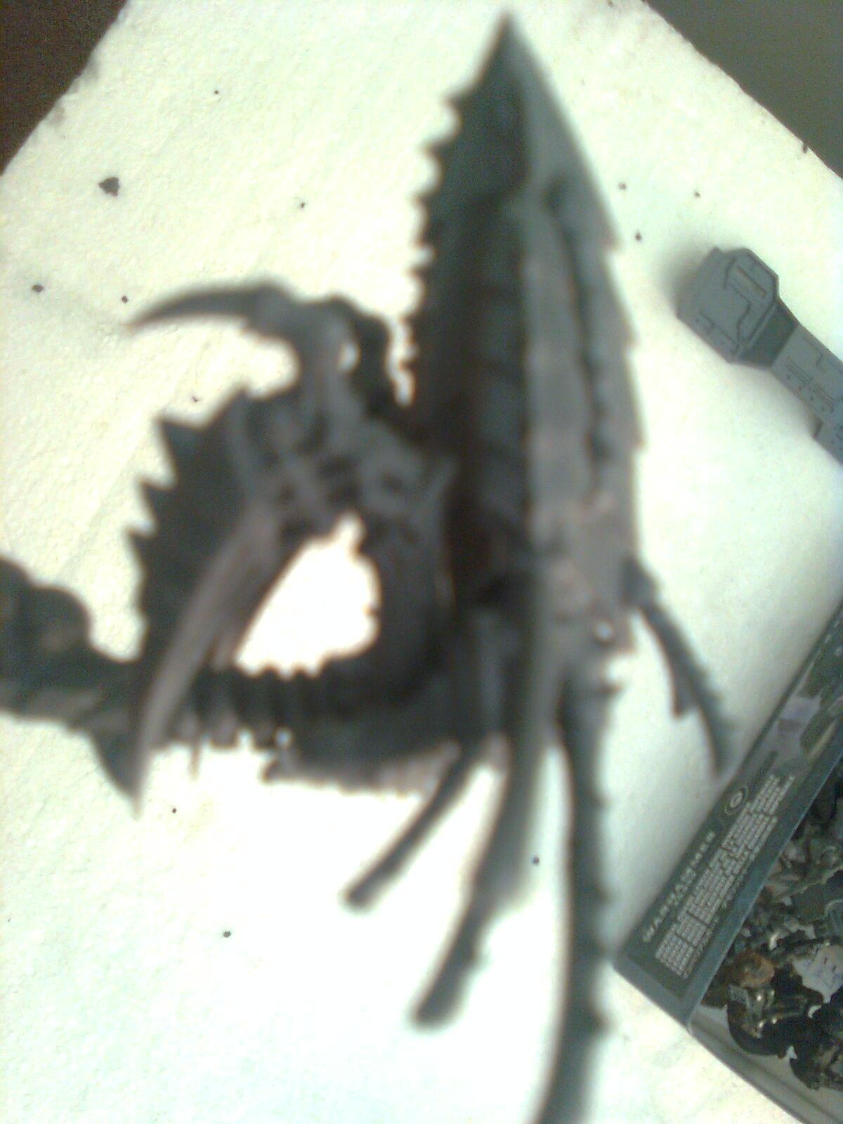 Blurred Photo, General close up