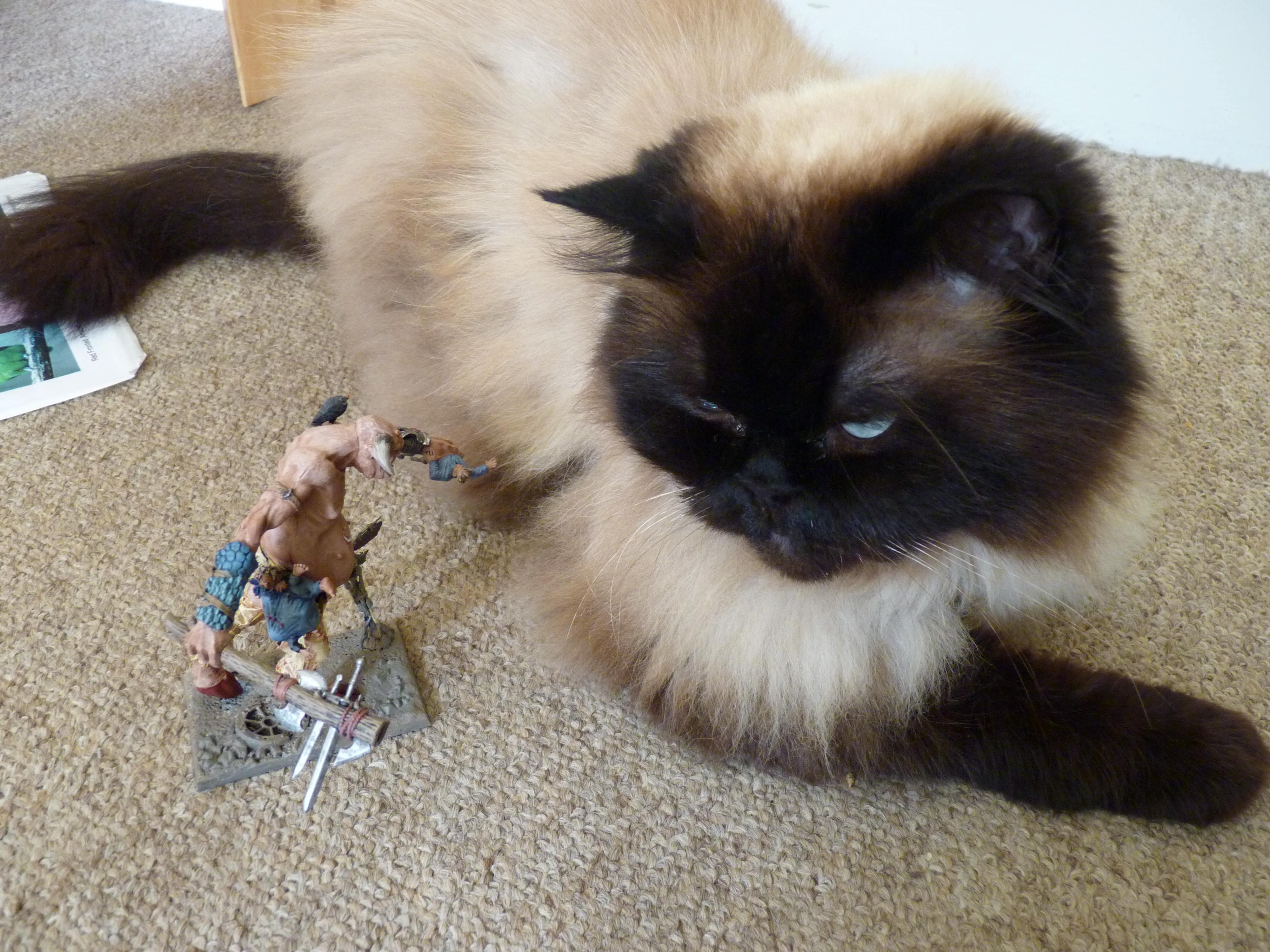 Cat, Chaos, Giant, Overall my cat approves of the model 