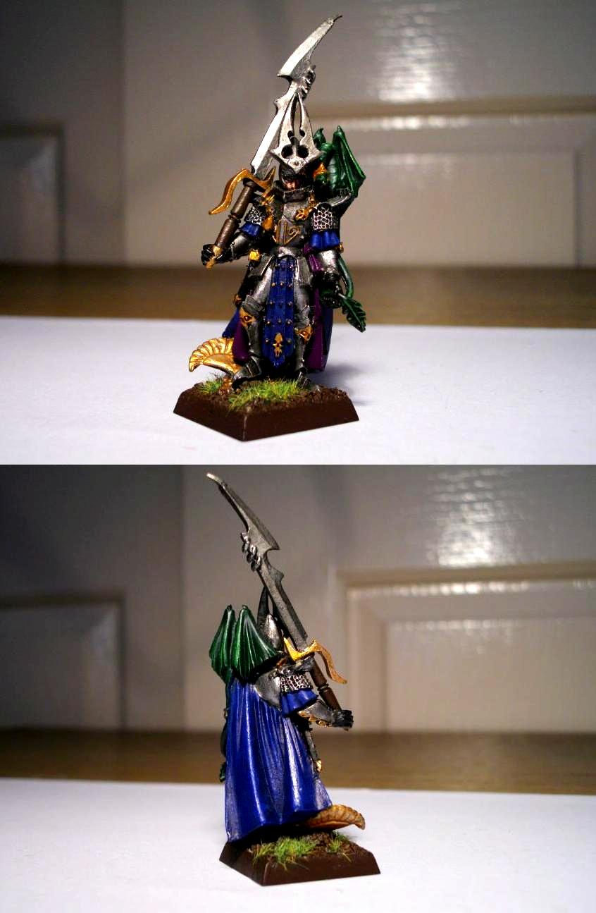 Dark Elf Master with Great Weapon