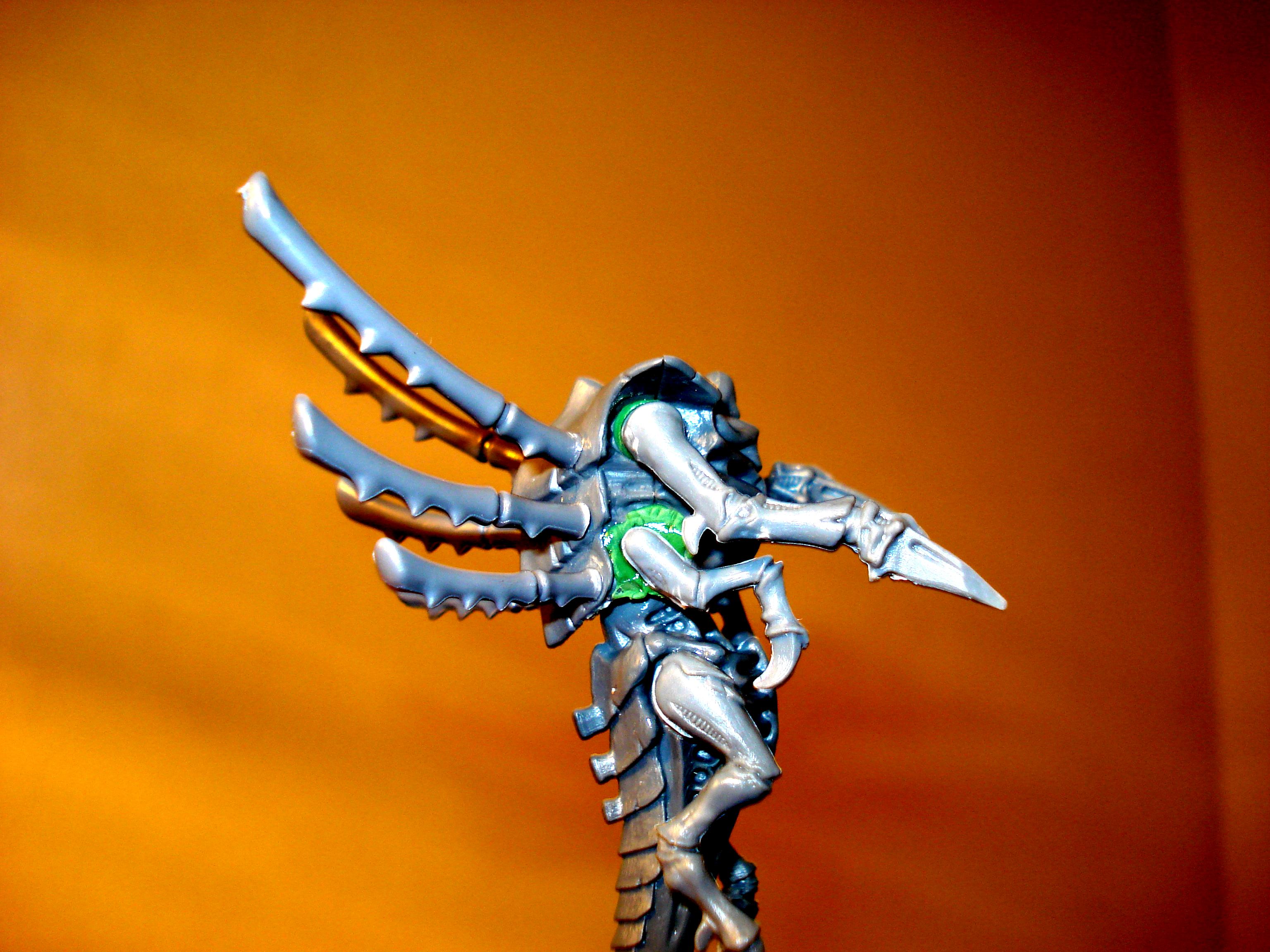 WIP Zoanthrope 1