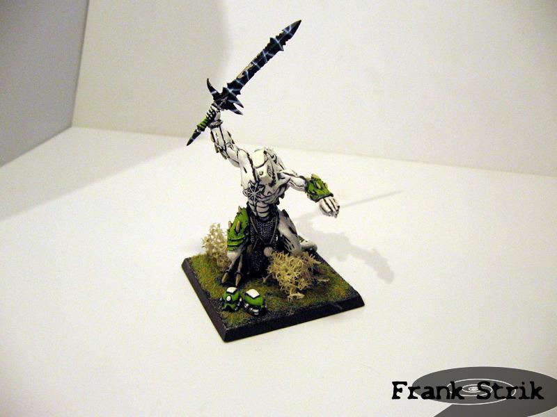 Eldar, Painted