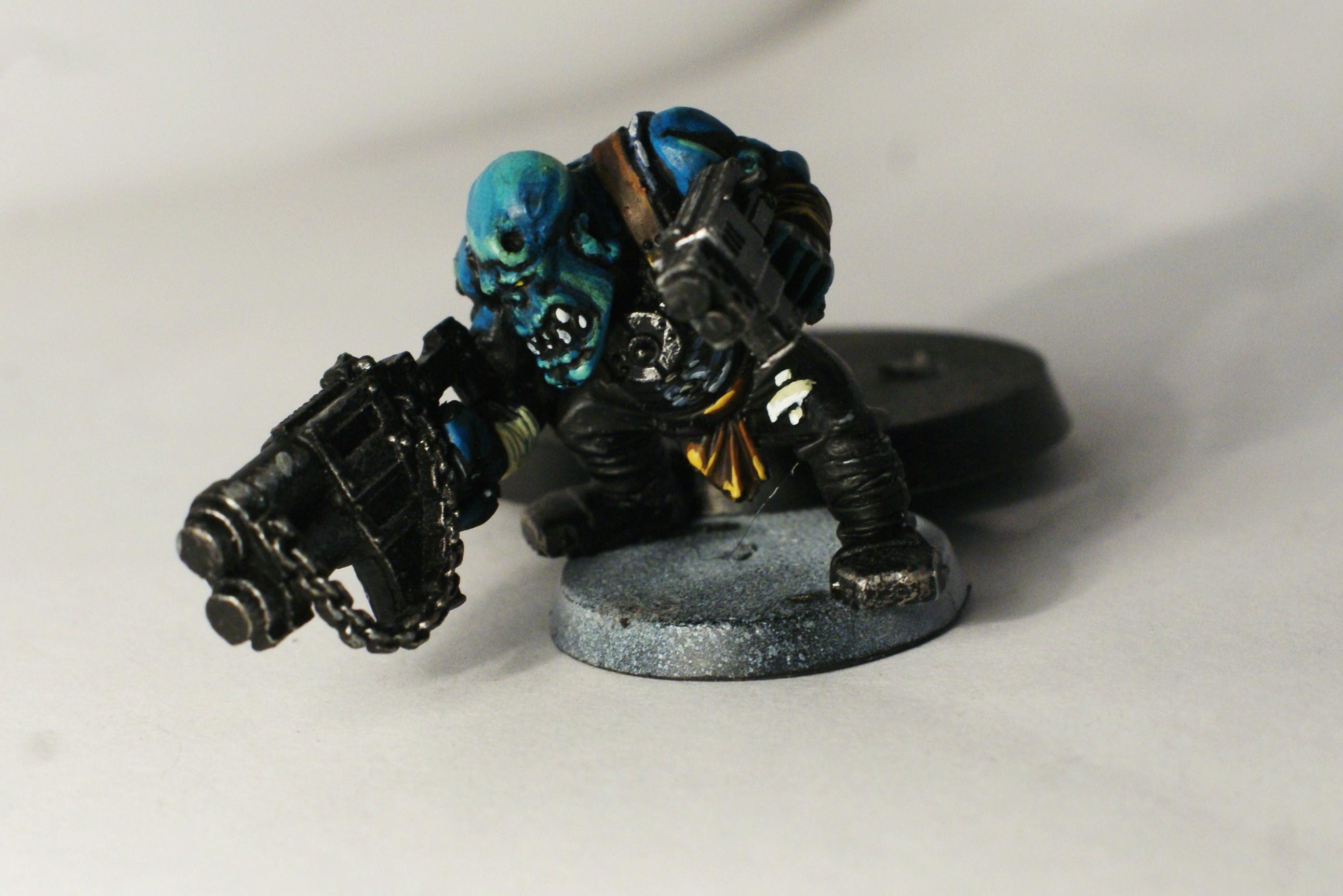 Painted Nob