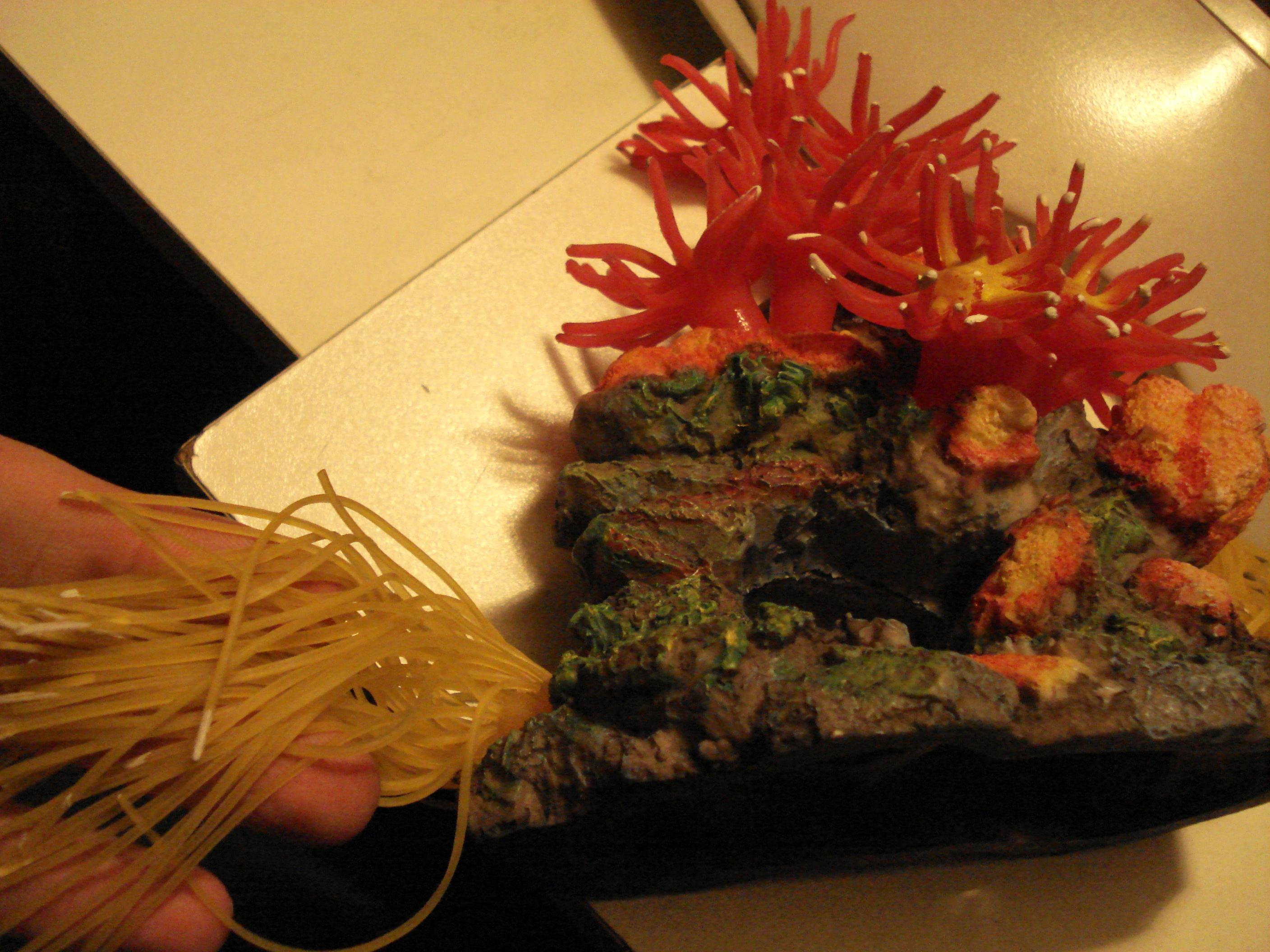 tendril source