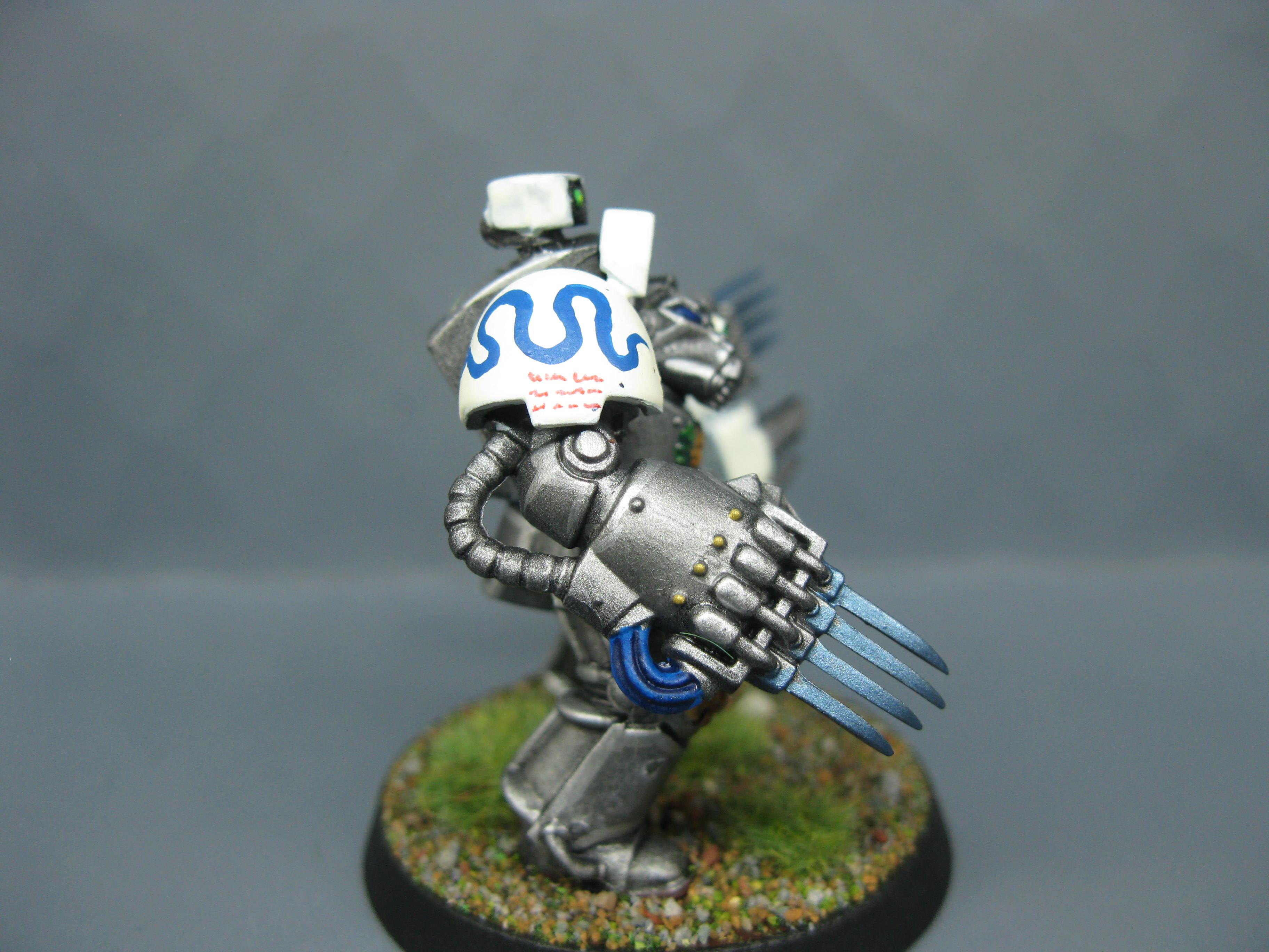 Iron Snakes, Pro Painted, Space Marines, Warhammer 40,000