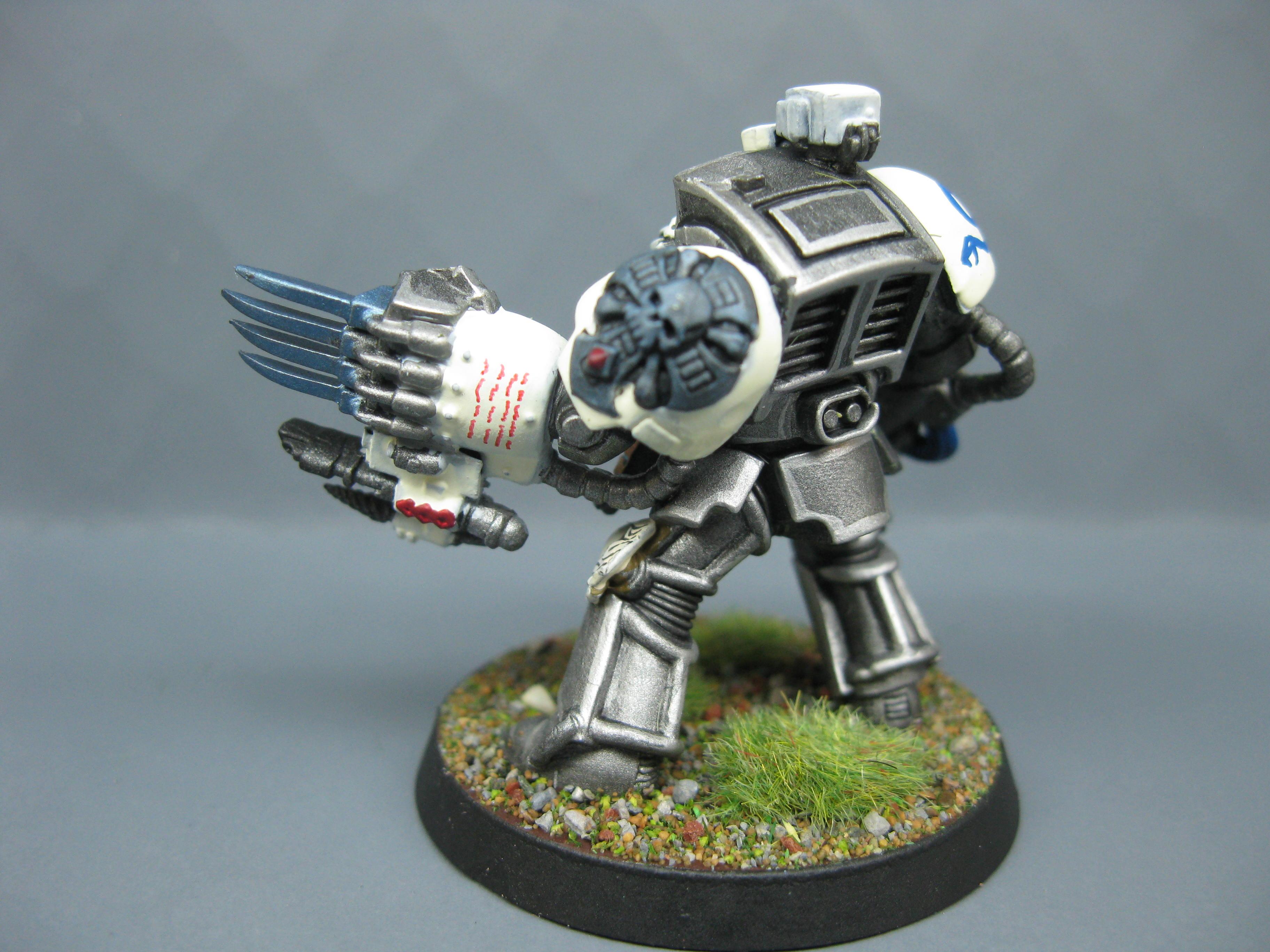 Iron Snakes, Pro Painted, Space Marines, Warhammer 40,000
