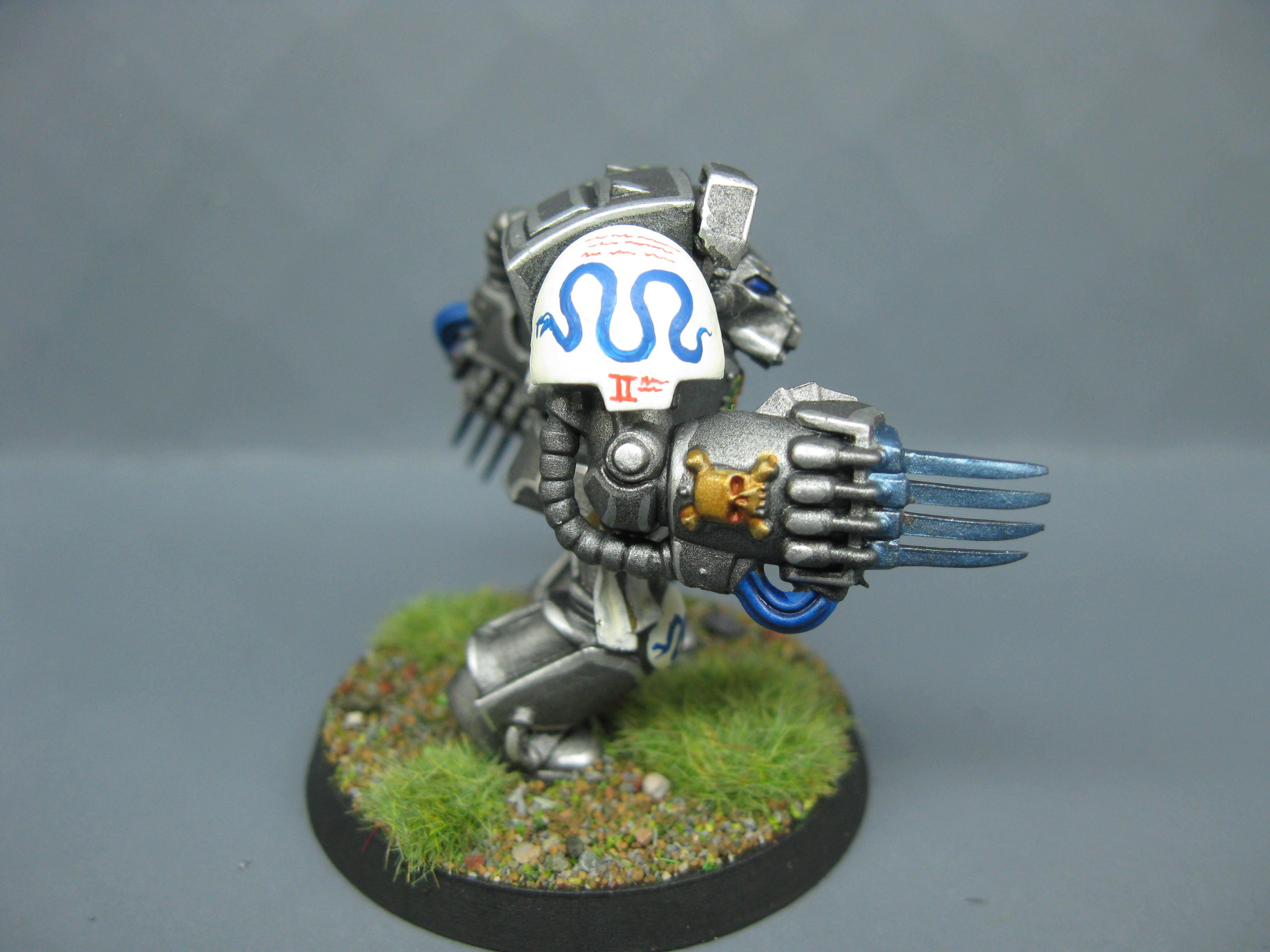 Freehand, Iron Snakes, Iron Stnakes, Lightning Claws, Pro Painted, Space Marines, Terminator Armor, Warhammer 40,000