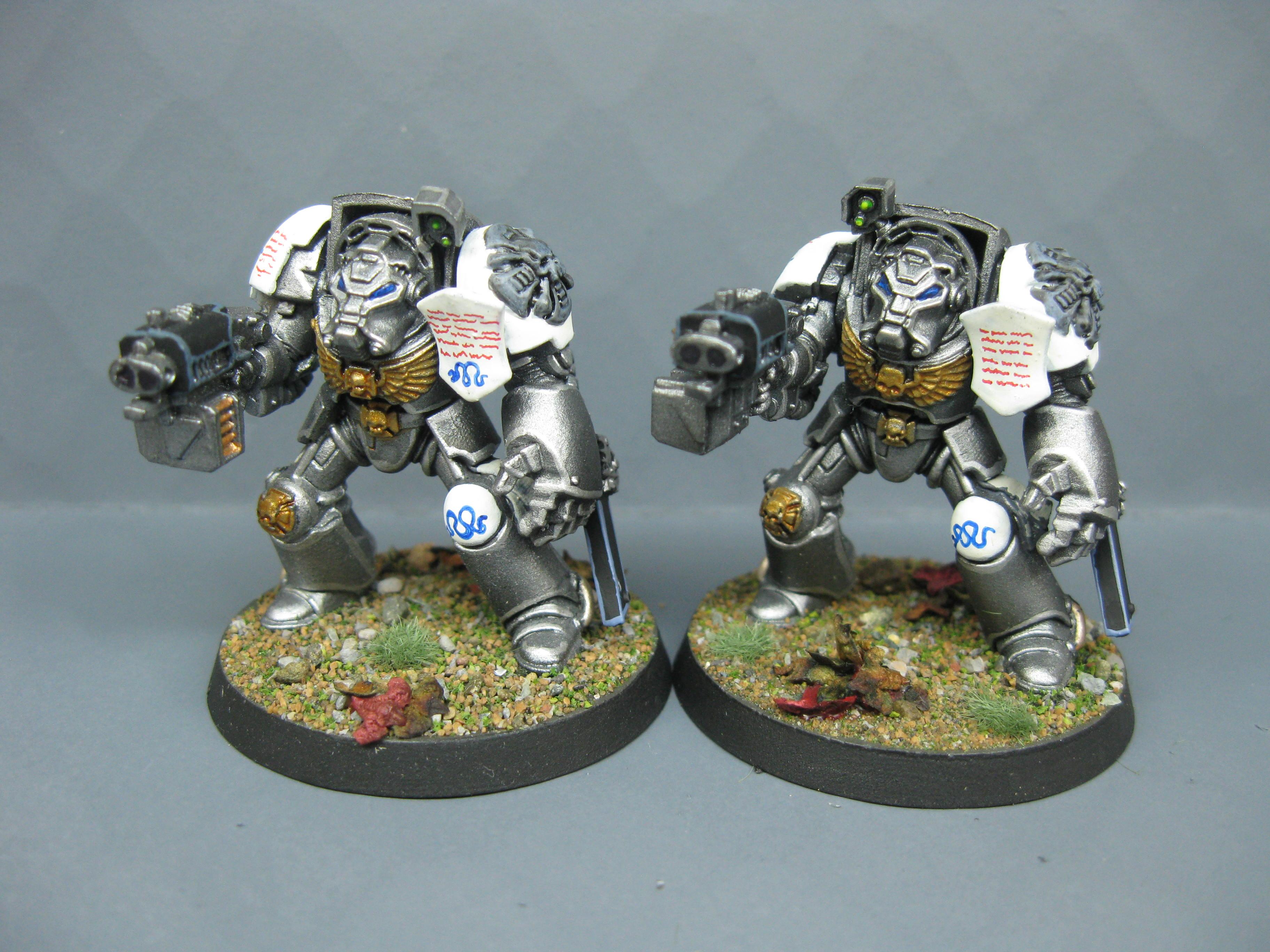Iron Snakes, Pro Painted, Space Marines, Warhammer 40,000