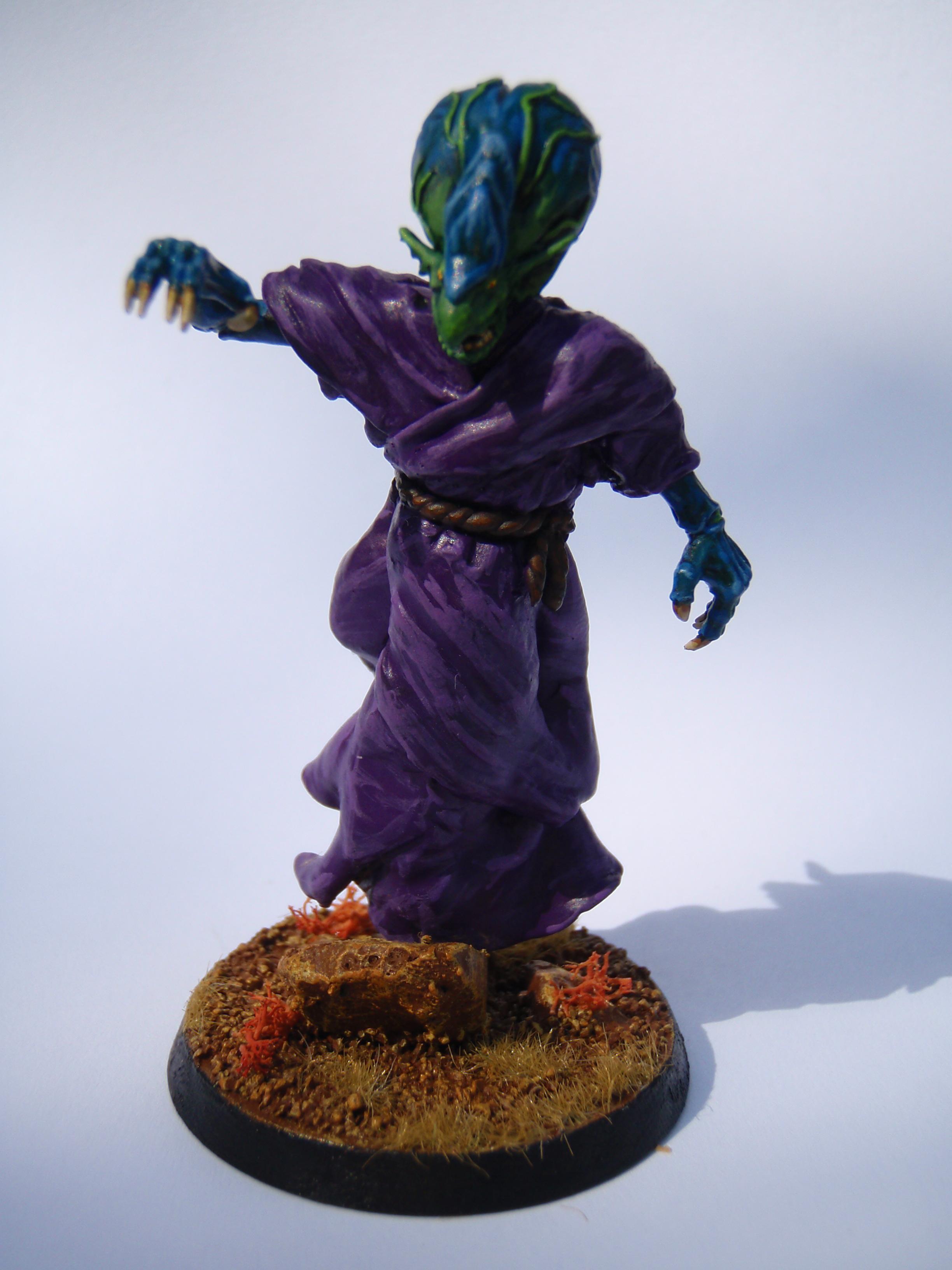 Third Weird Bug (Zoanthrope)