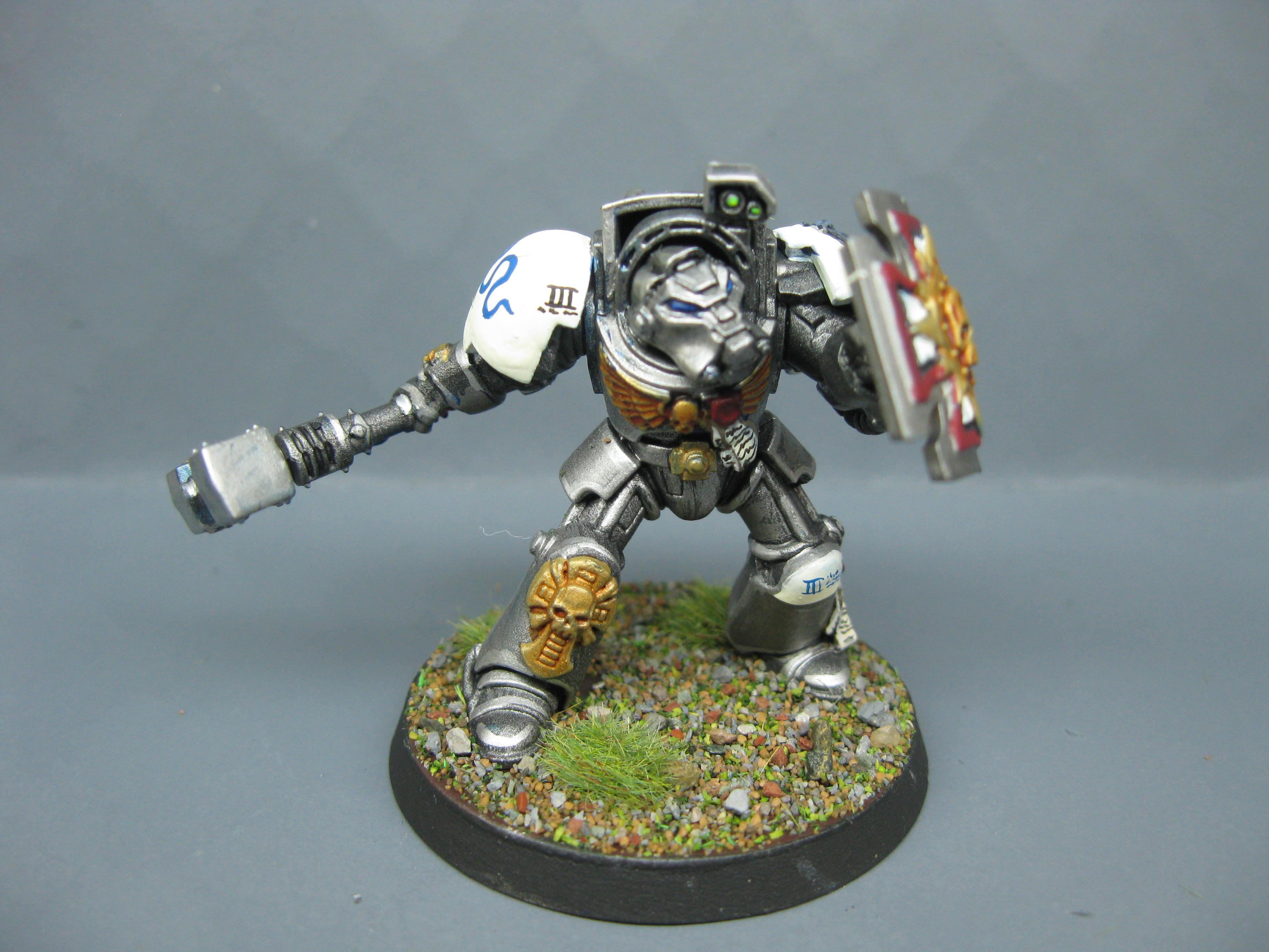 Iron Snakes, Pro Painted, Space Marines, Warhammer 40,000