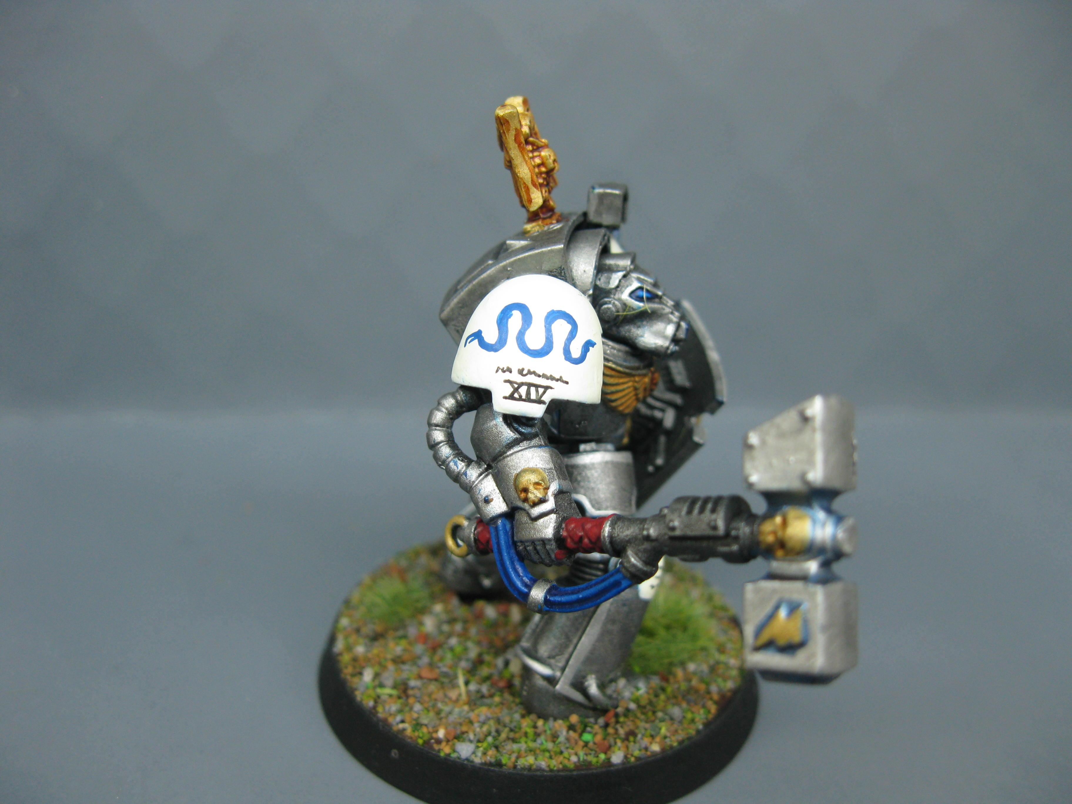 Iron Snakes, Pro Painted, Space Marines, Warhammer 40,000