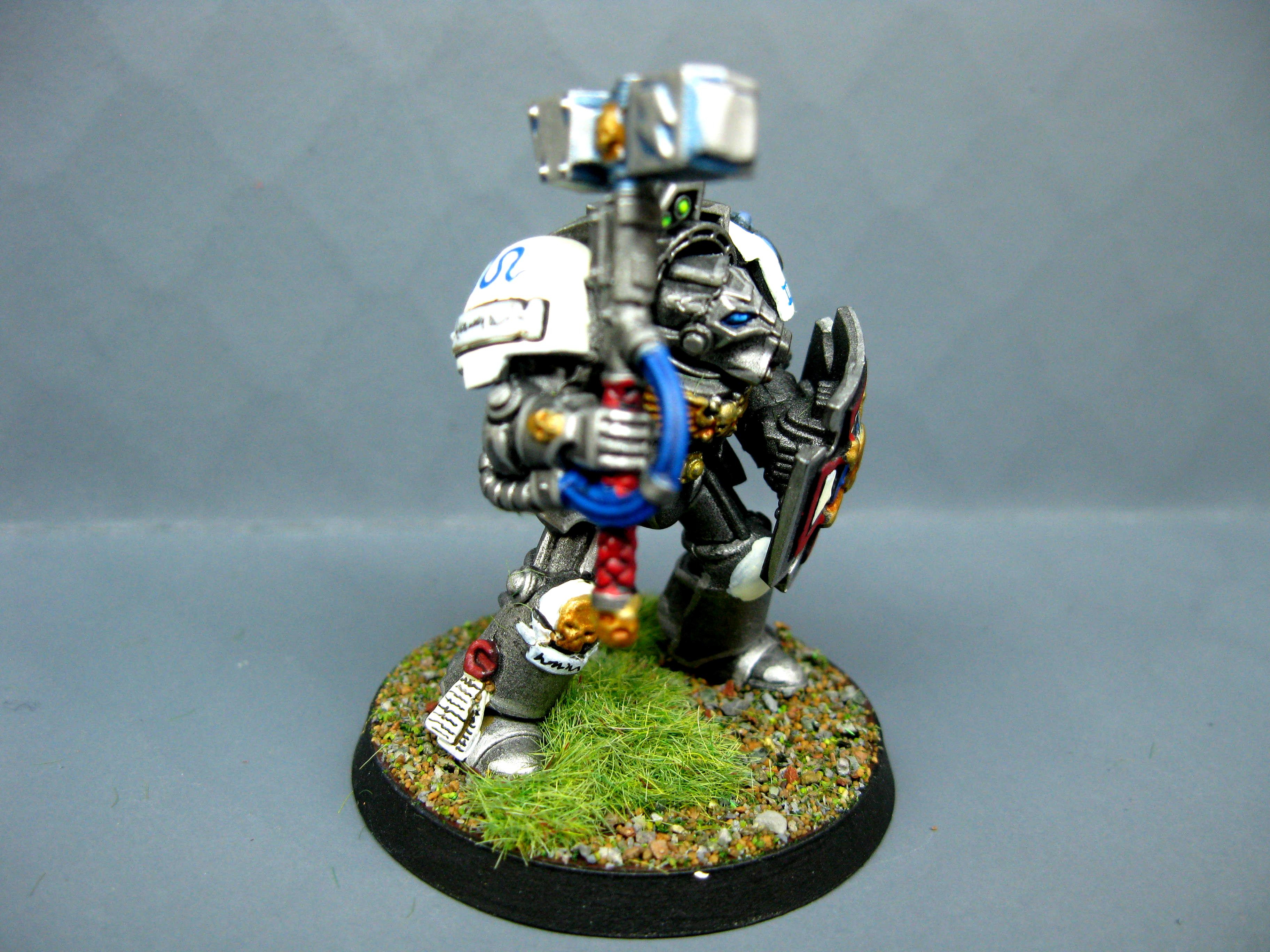 Iron Snakes, Pro Painted, Space Marines, Warhammer 40,000