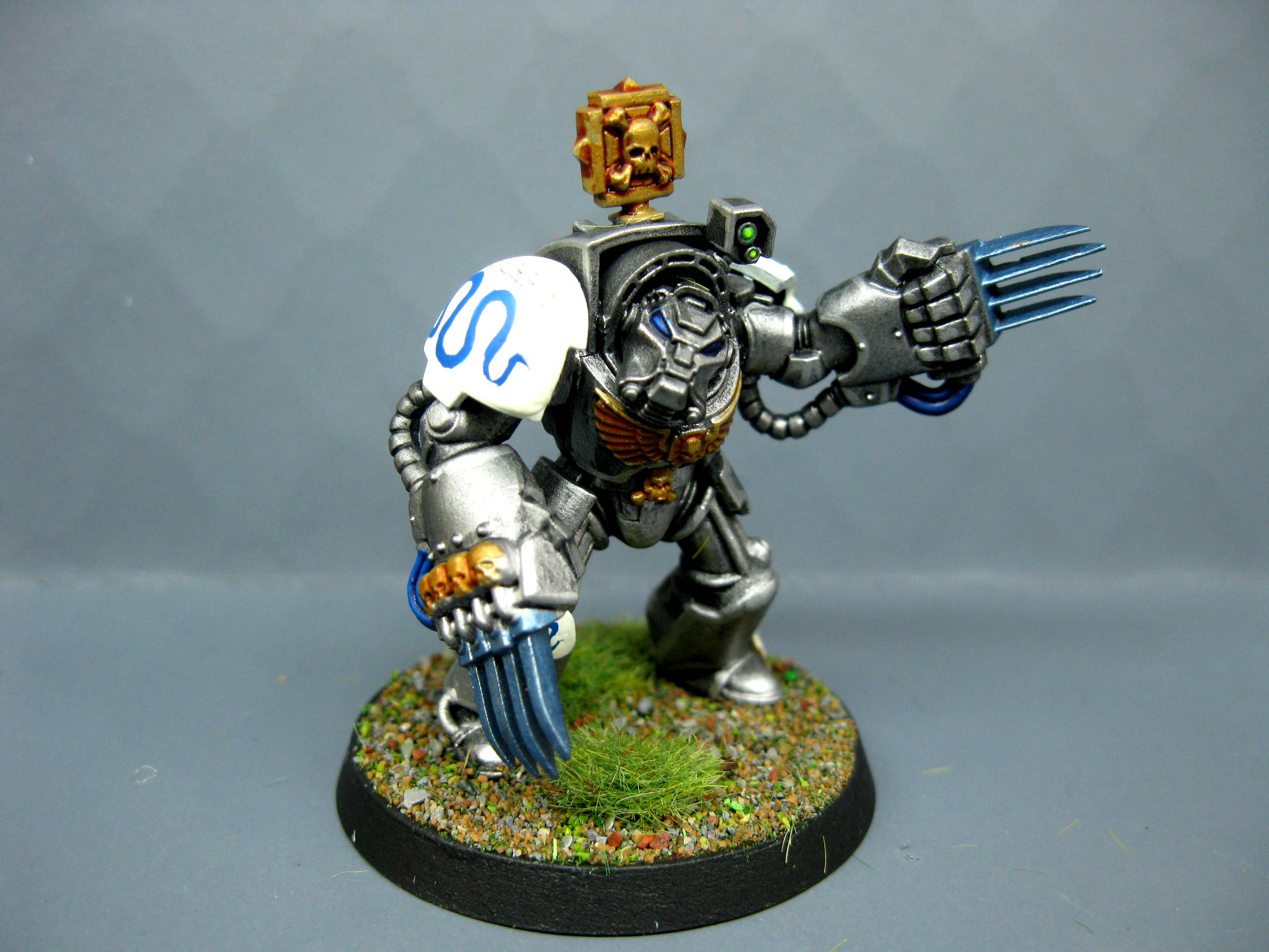 Iron Snakes, Pro Painted, Space Marines, Warhammer 40,000