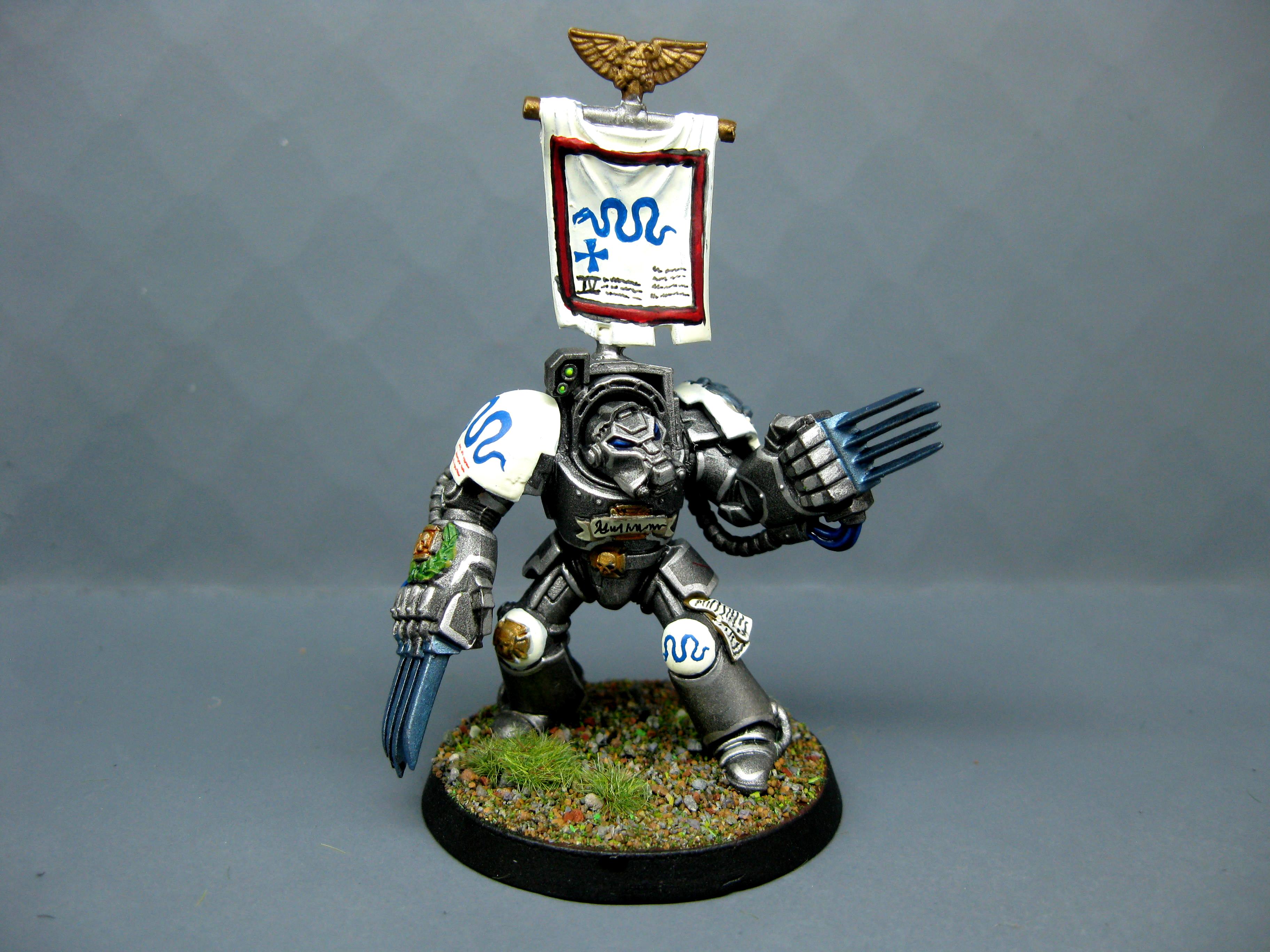 Iron Snakes, Pro Painted, Space Marines, Terminator Armor, Warhammer 40,000