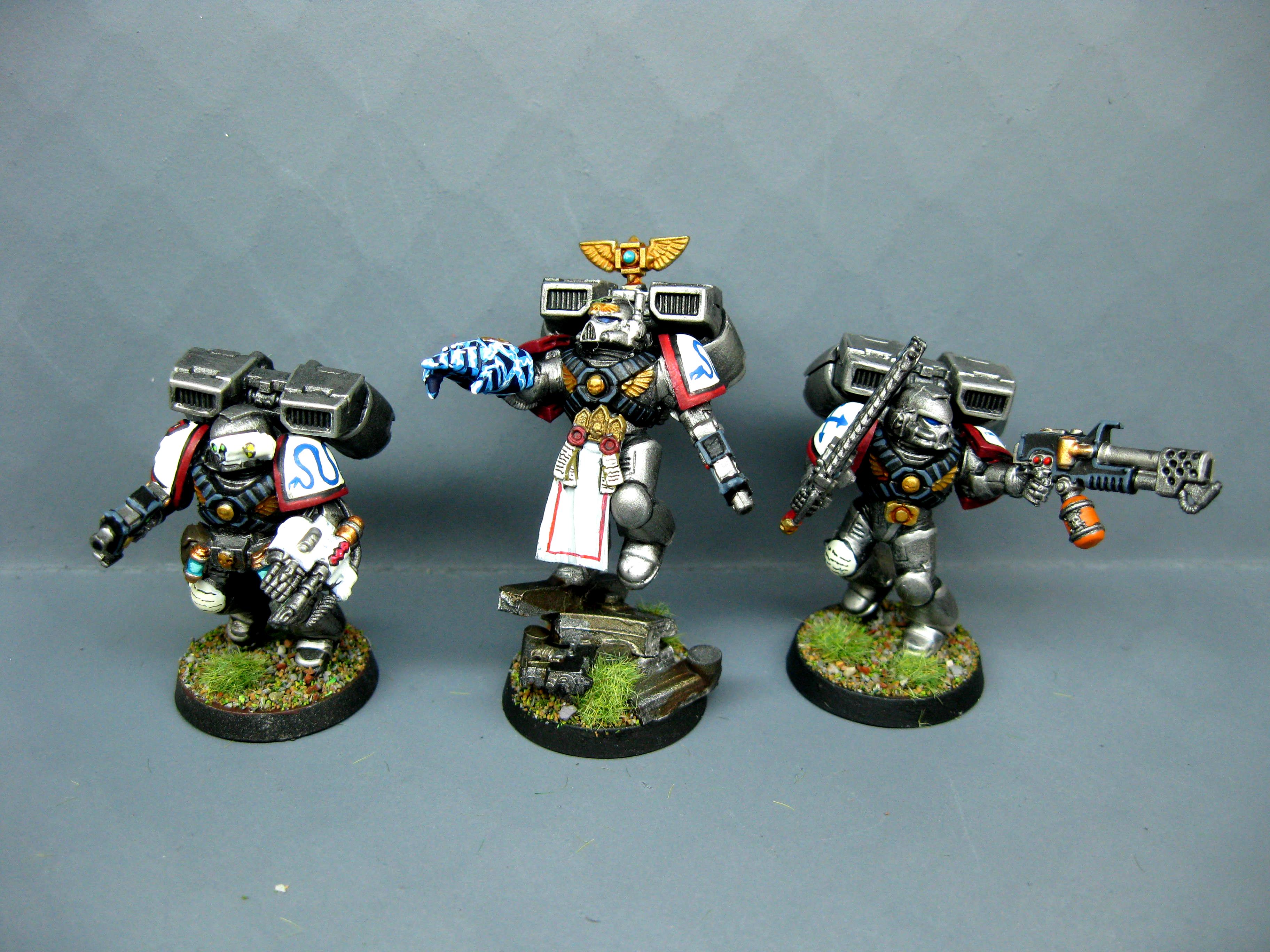 Assault Marines, Brotherhood Of The Snake, Iron Snakes, Pro Painted, Space Marines, Warhammer 40,000