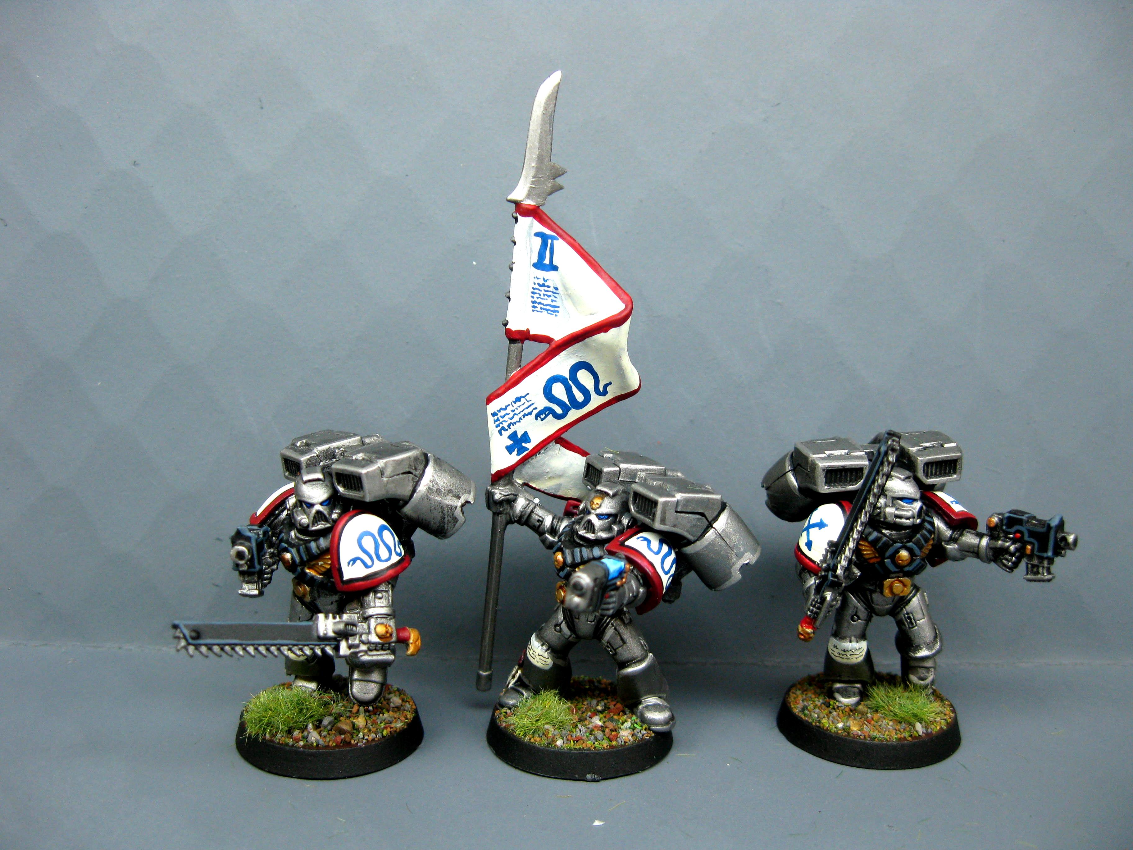 Assault Squad, Iron Snakes, Pro Painted, Space Marines, Warhammer 40,000