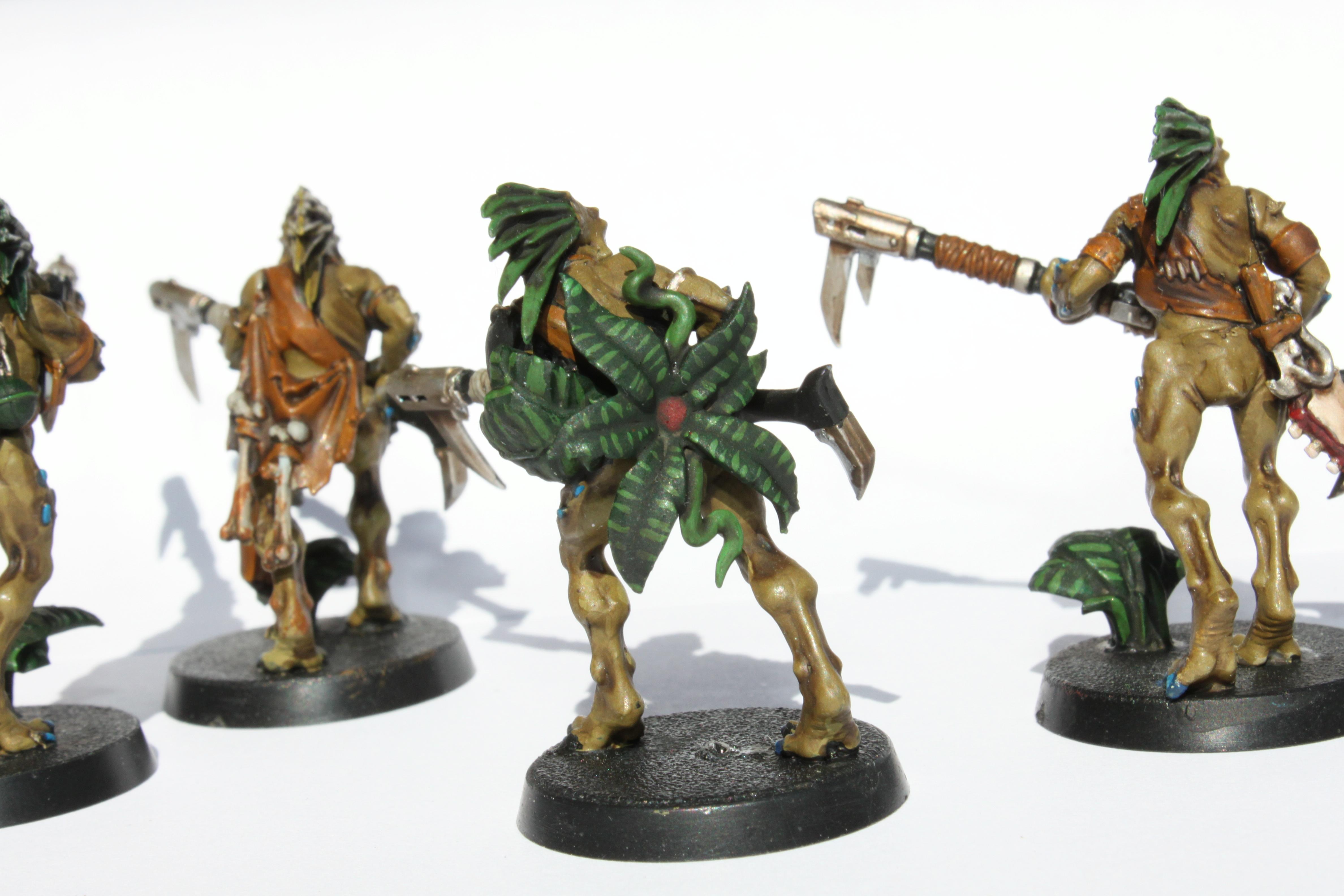 Camouflage, Jungle, Kroot, Mercenary, Stalkers