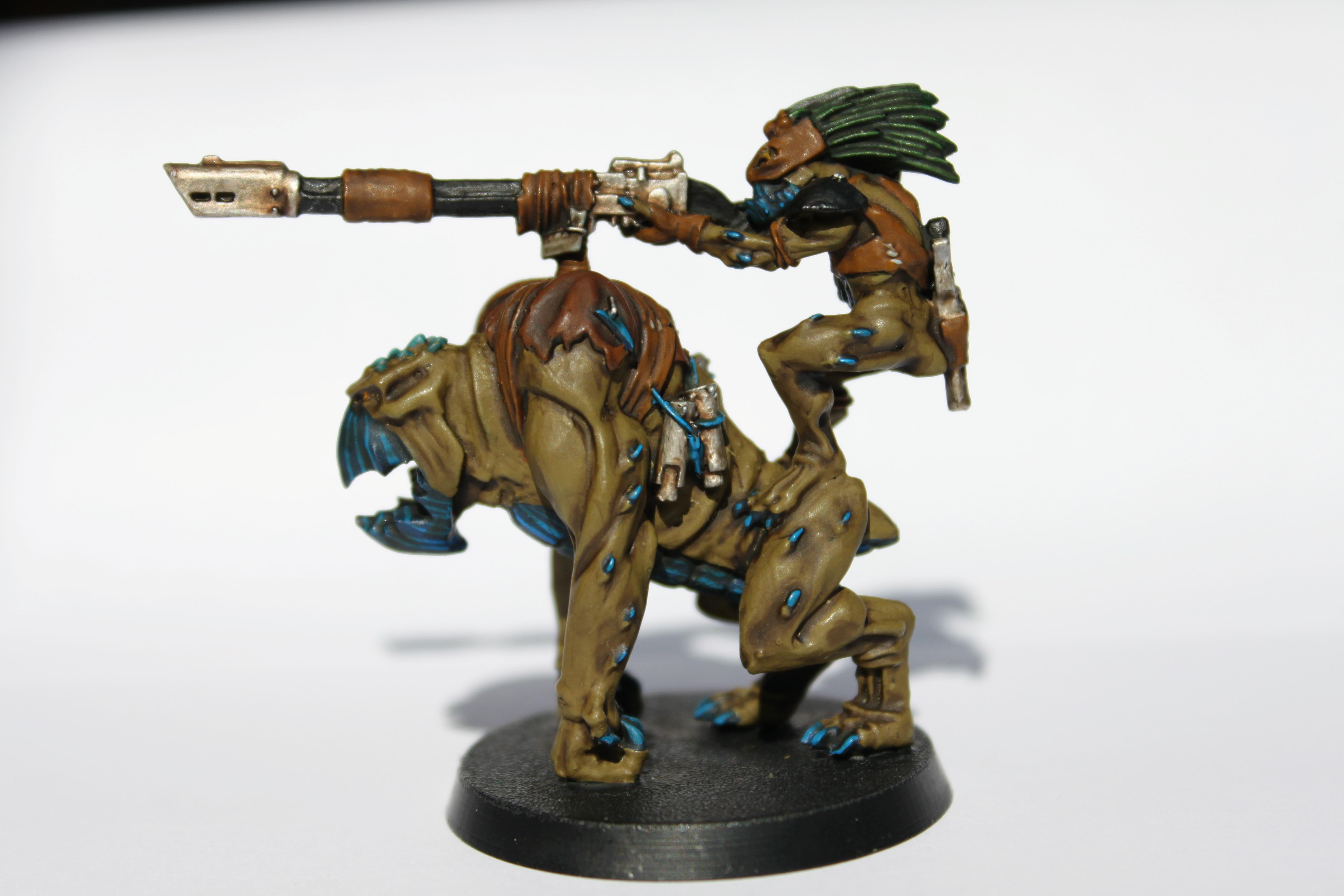Kroot, Krootox, Mercenary