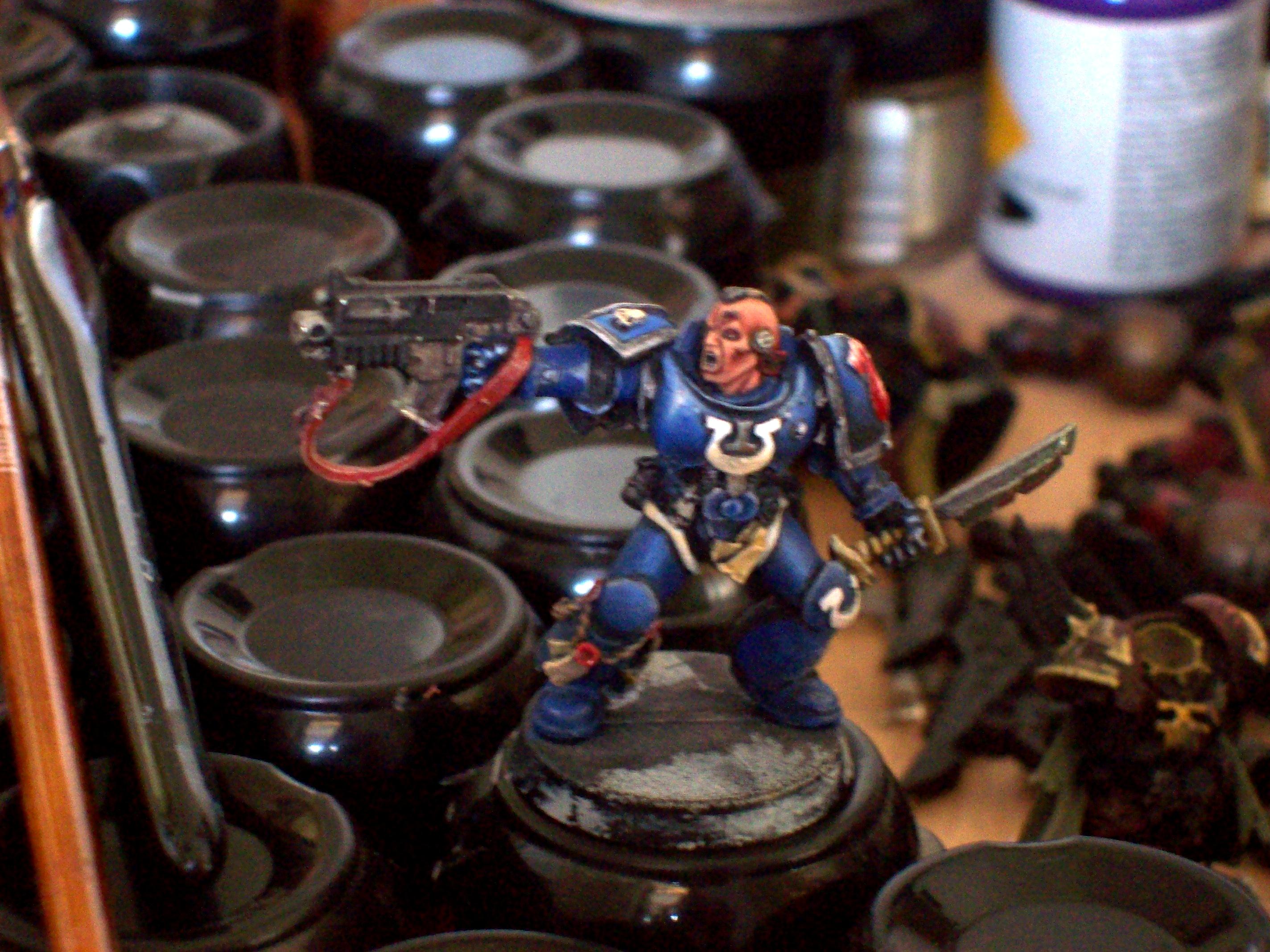 Space Marines, the brood will come