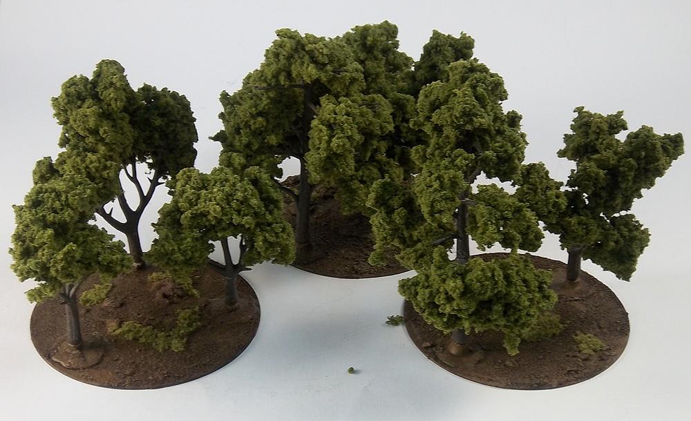Forest, Terrain, Forest