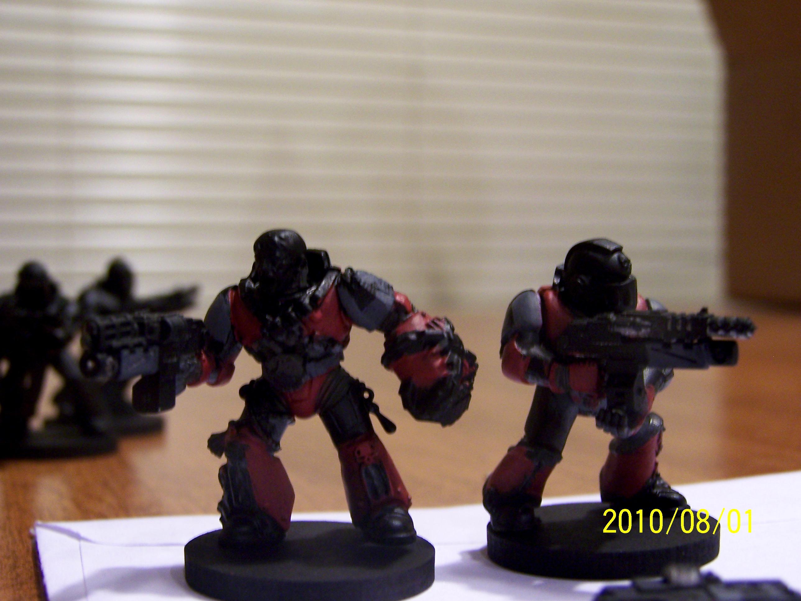 Sternguard conversions WIP