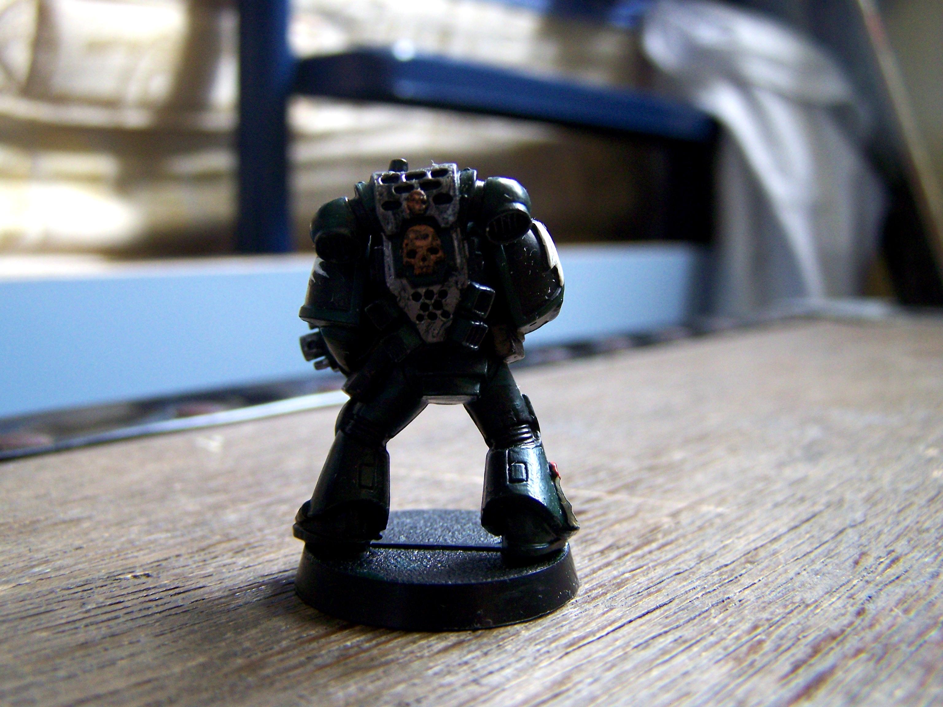 Space Marine Salamander